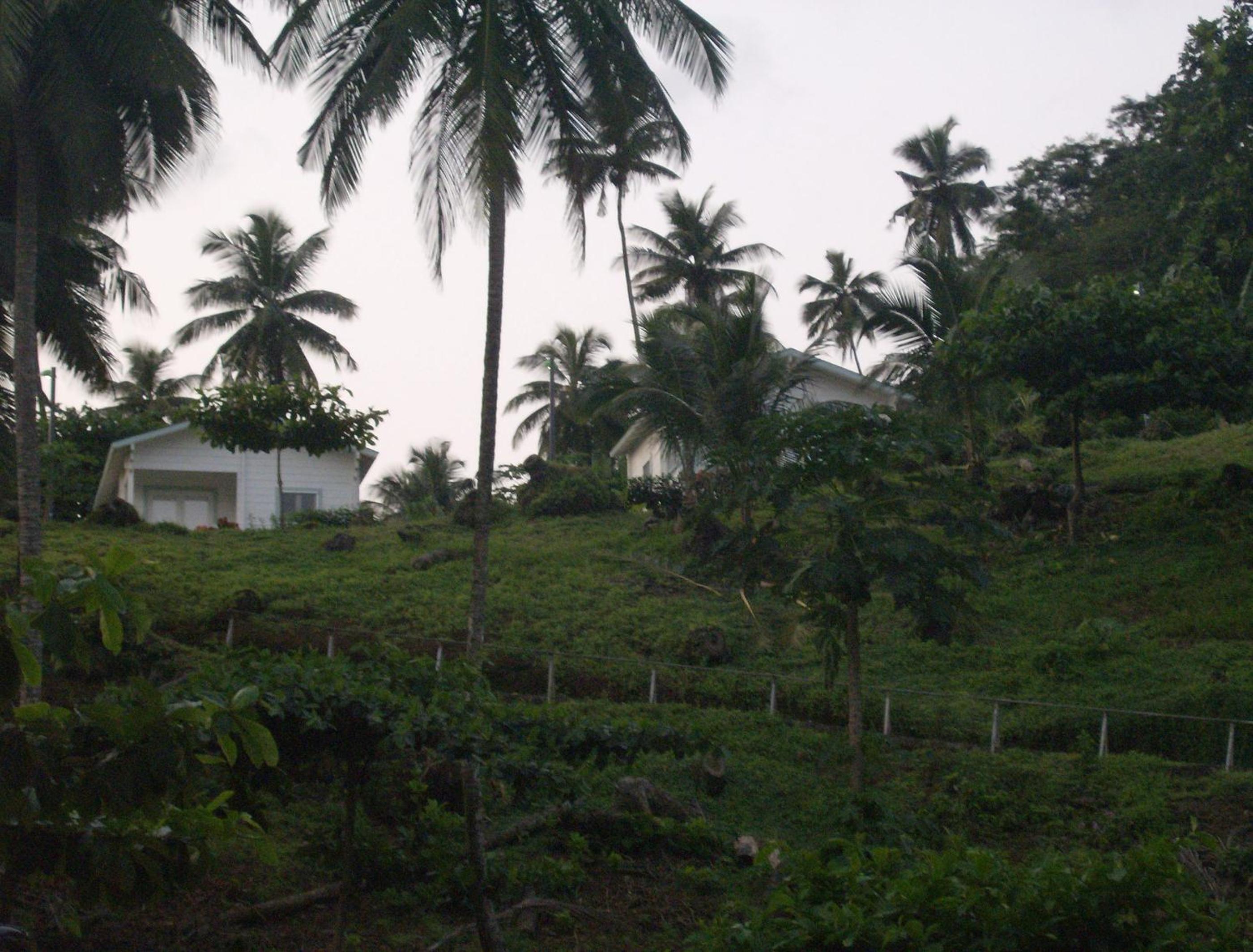 Photo 48