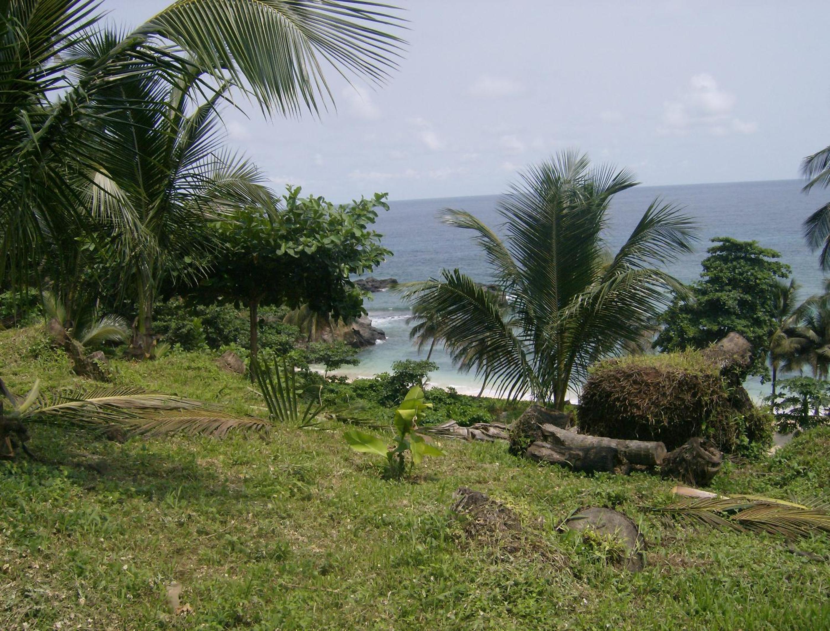 Photo 50