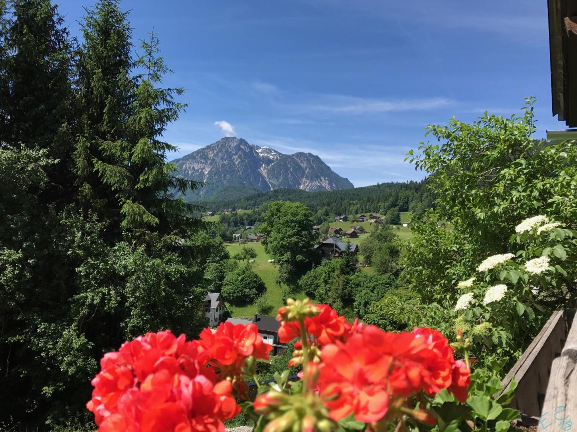 Reitbauernhof Schartner