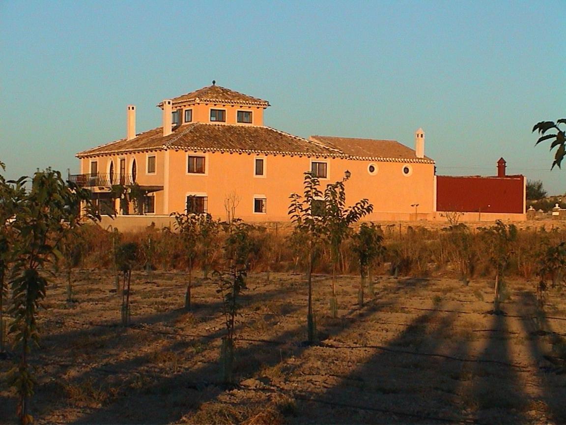 Photo 45