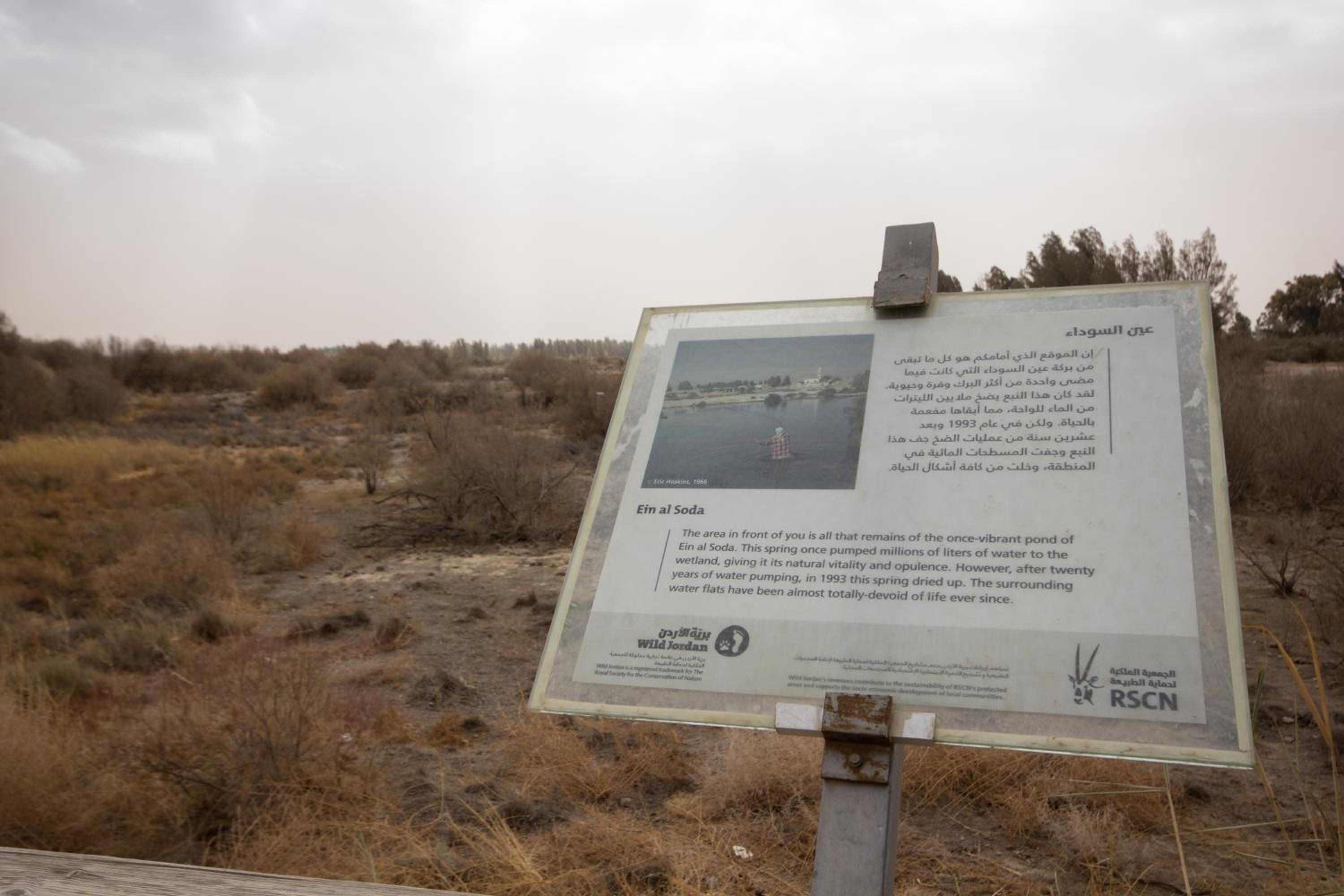 Azraq Lodge