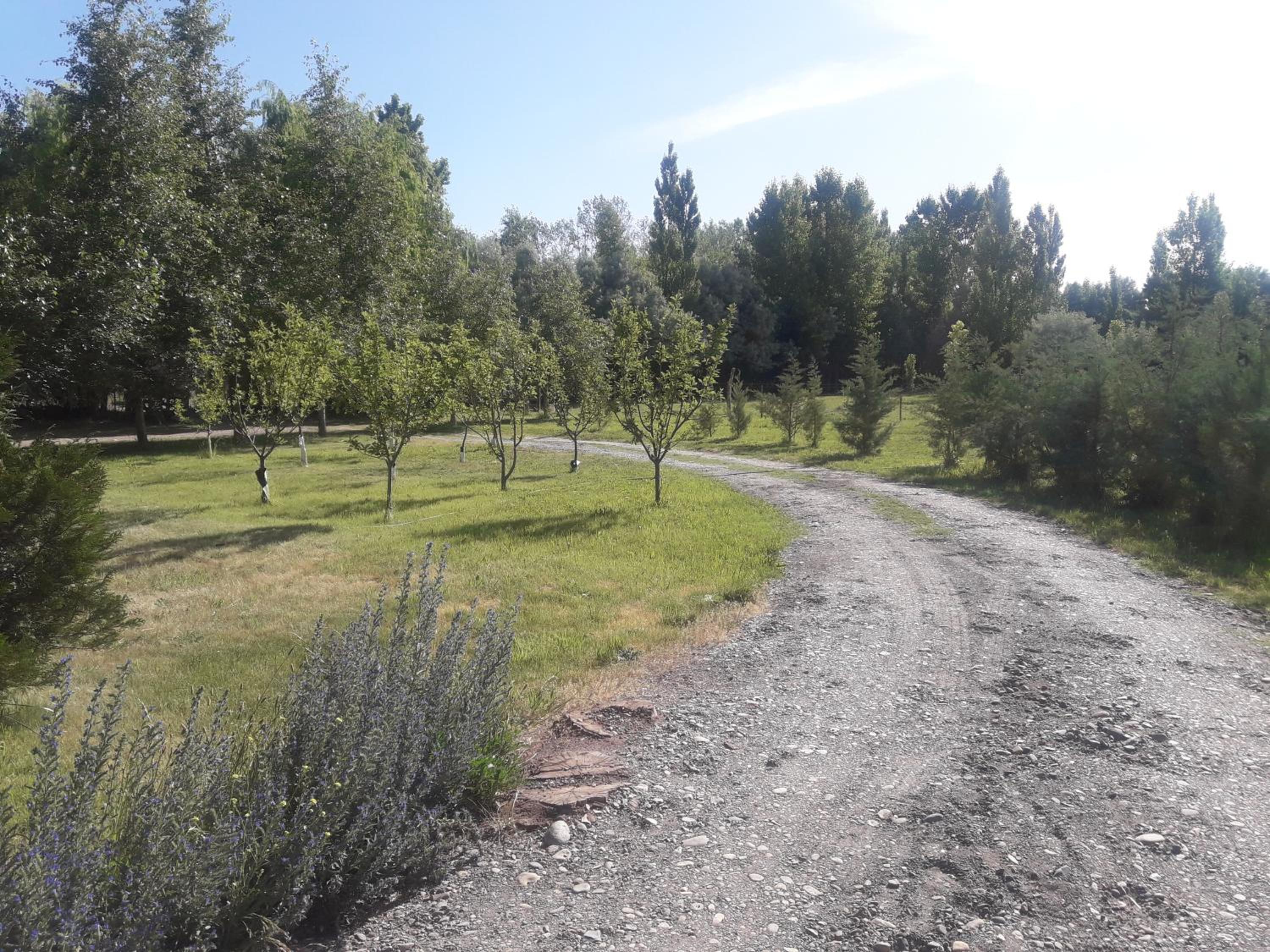 Estancia Los Morros