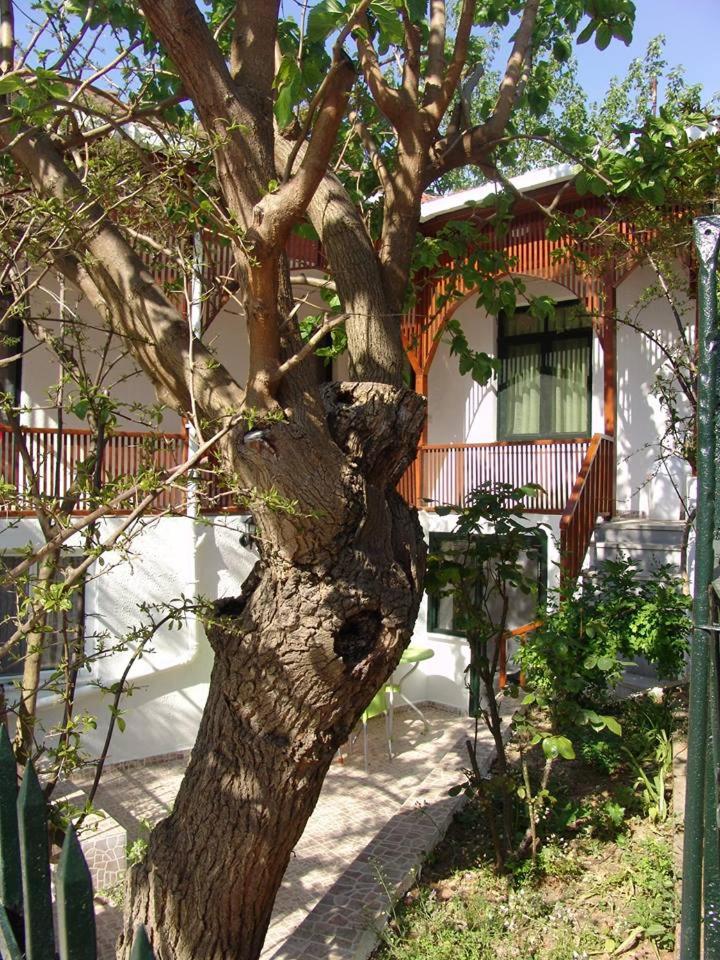 Orhan Kutbayin Evi view 2
