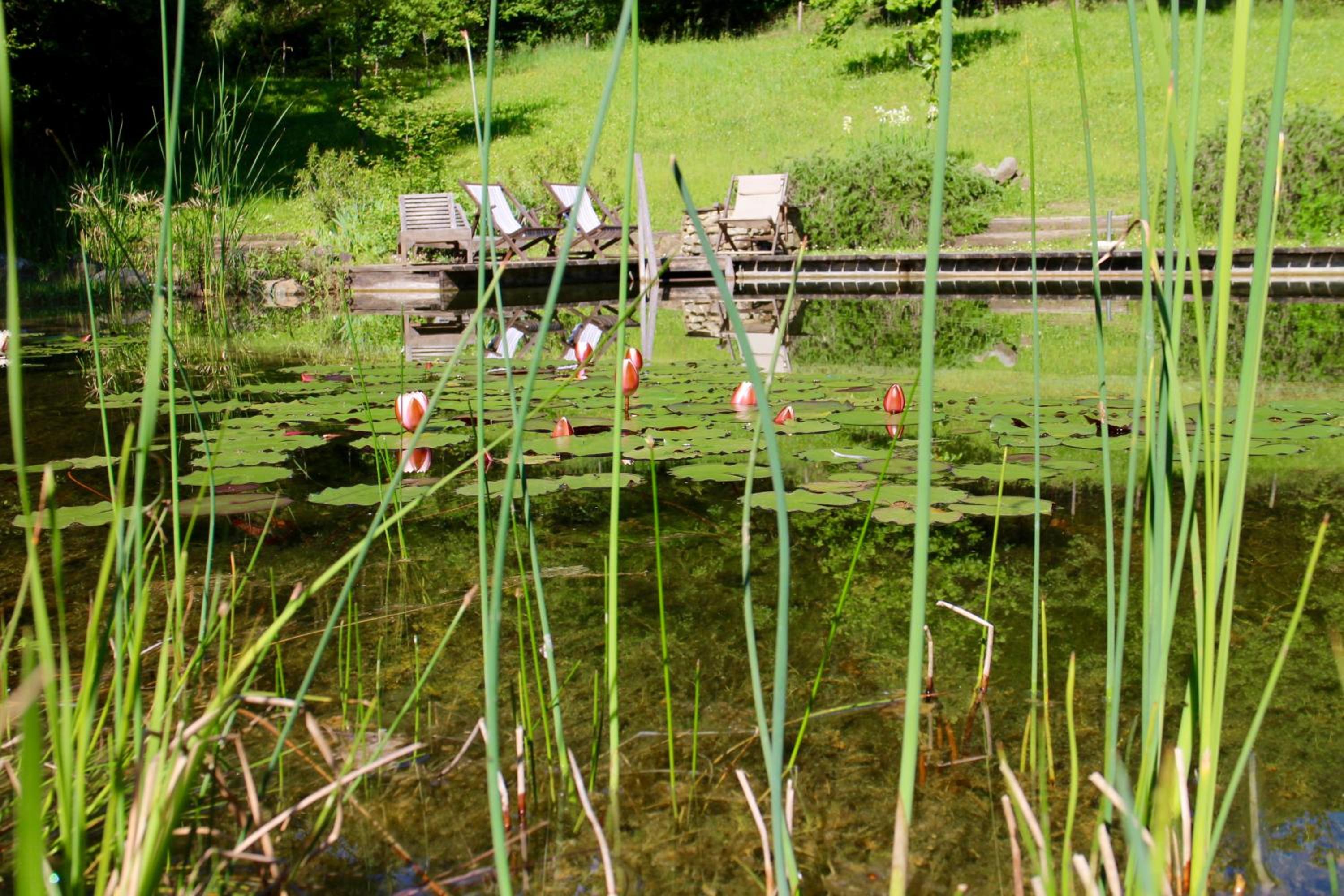 Figline Valdarno Vacations - Locanda Casanuova - Property Image 12