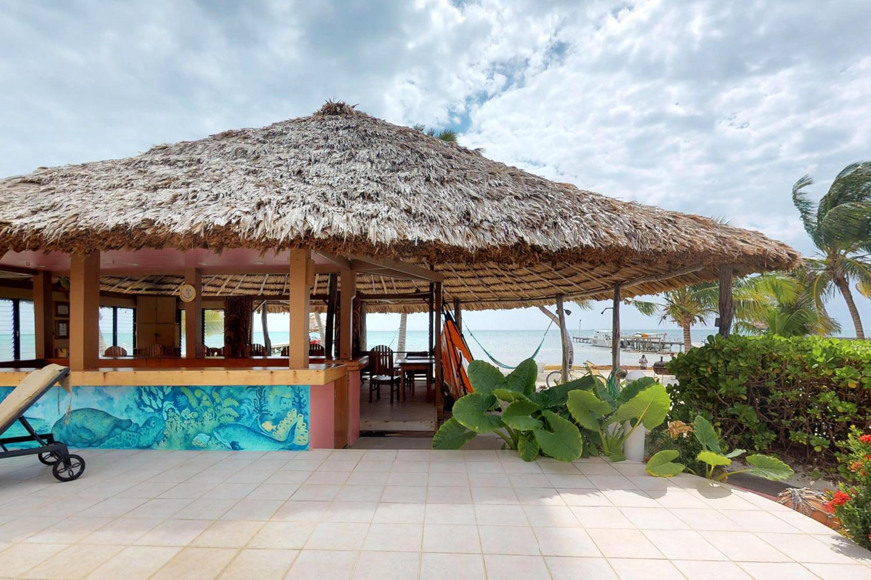 Hibiscus @ Caribe Island