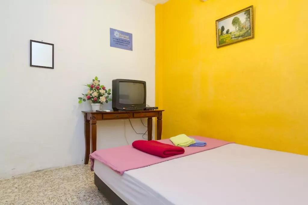 Cocoa Mews Cafe and Homestay