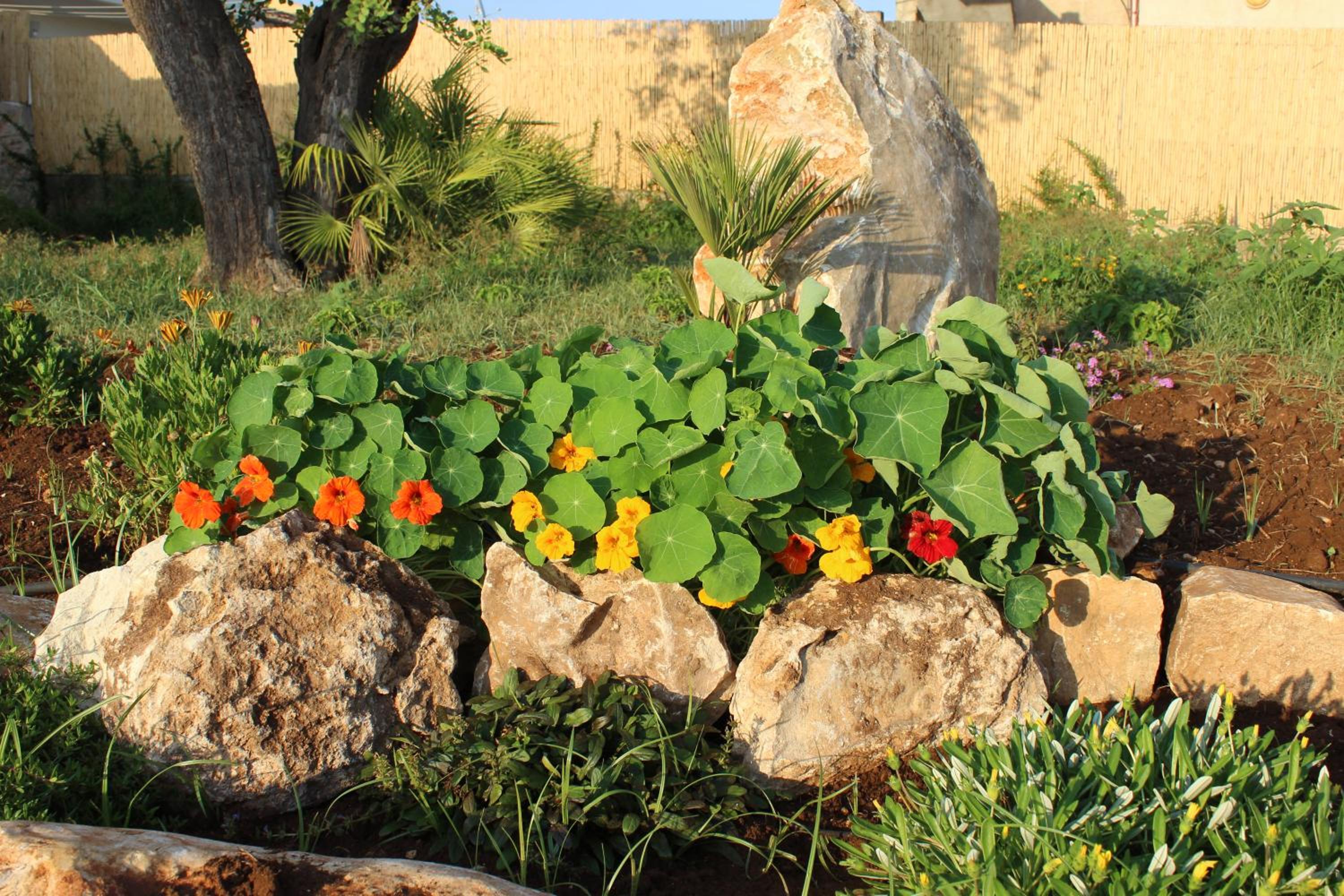 Photo 20