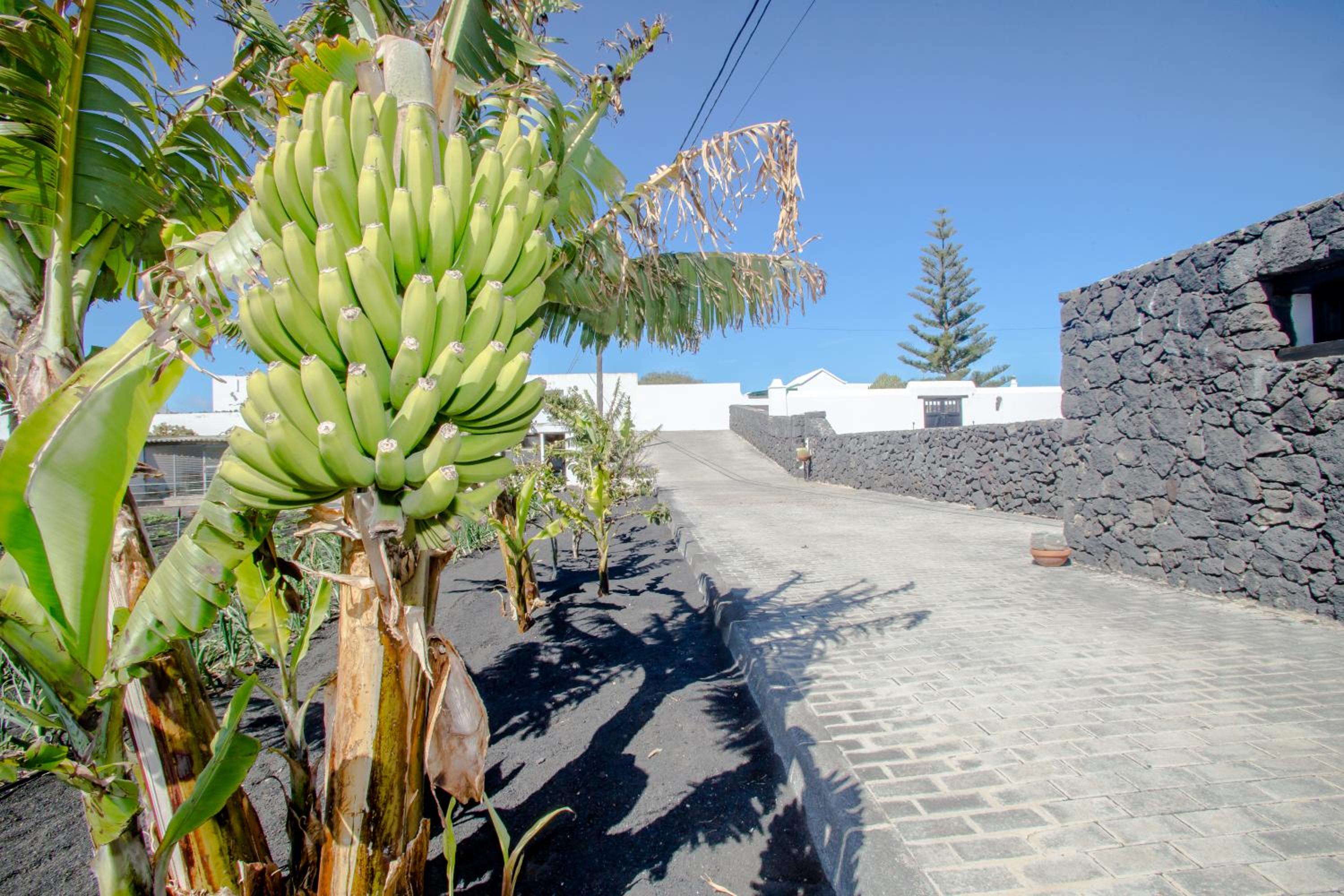 casa los veroles lanzarote view 3