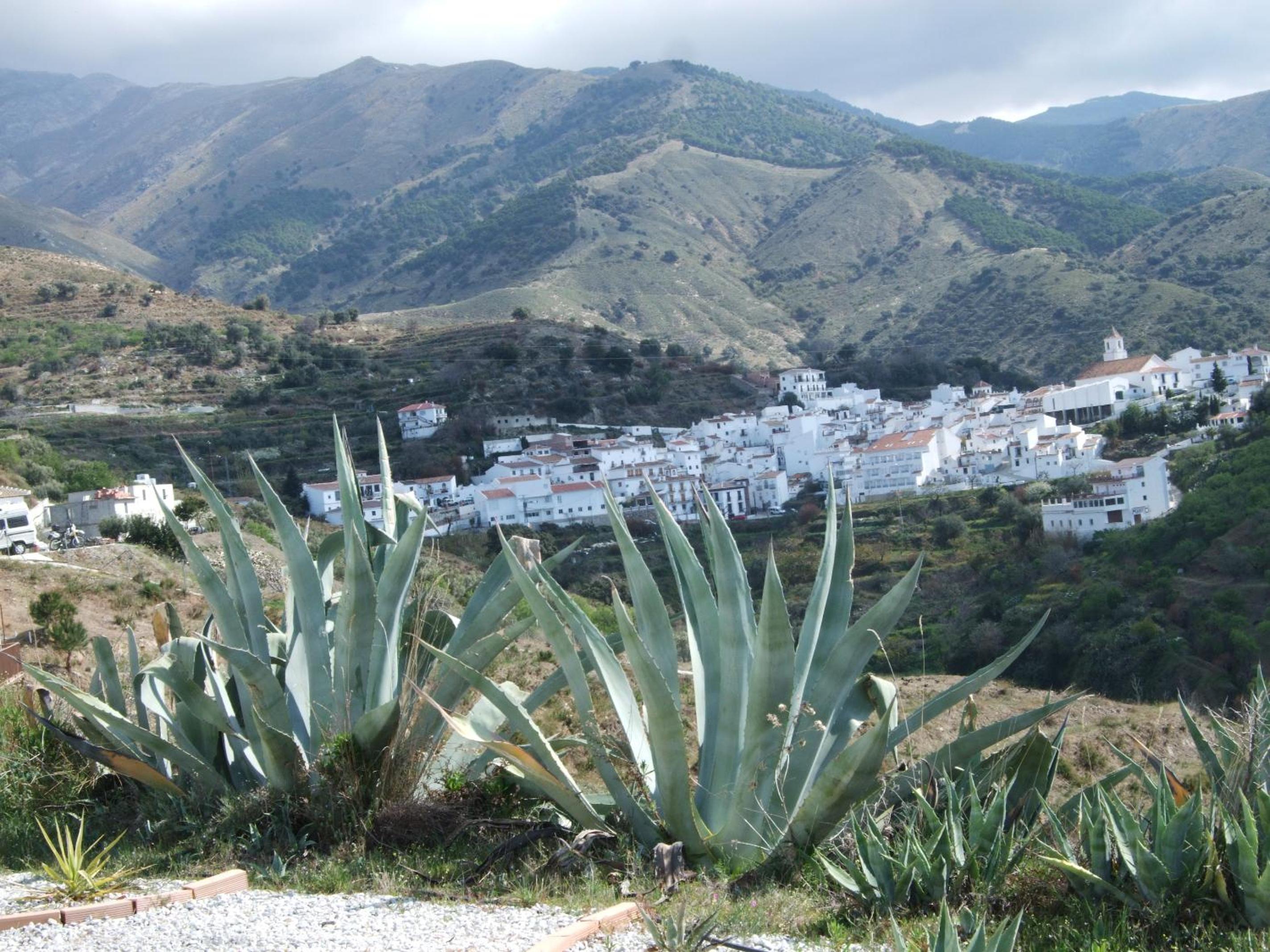 Casa Siete Arcos view 5