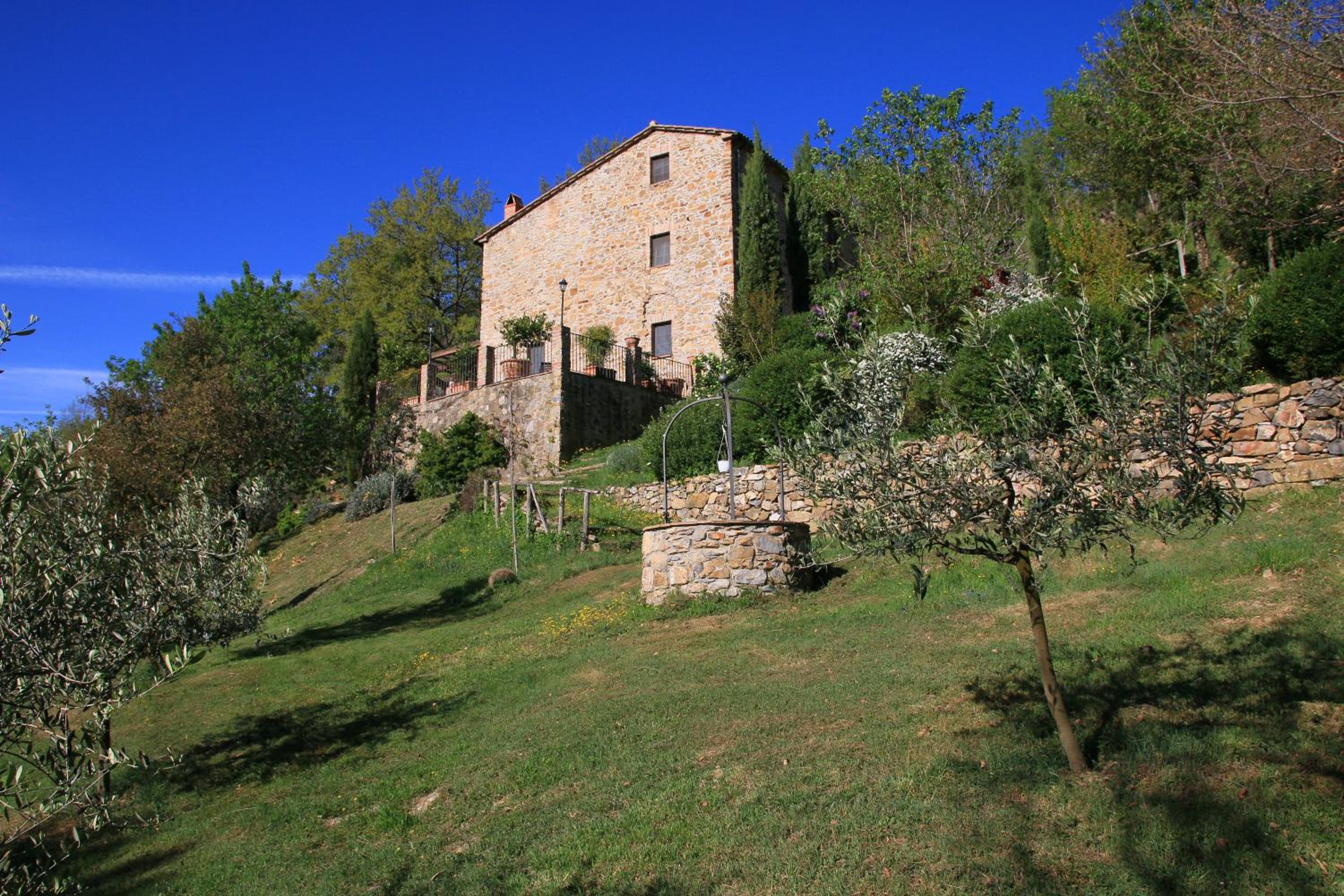 Photo 25