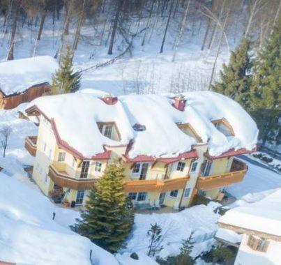 Haus Elisengrund am Geigenbuehel - chalet privé