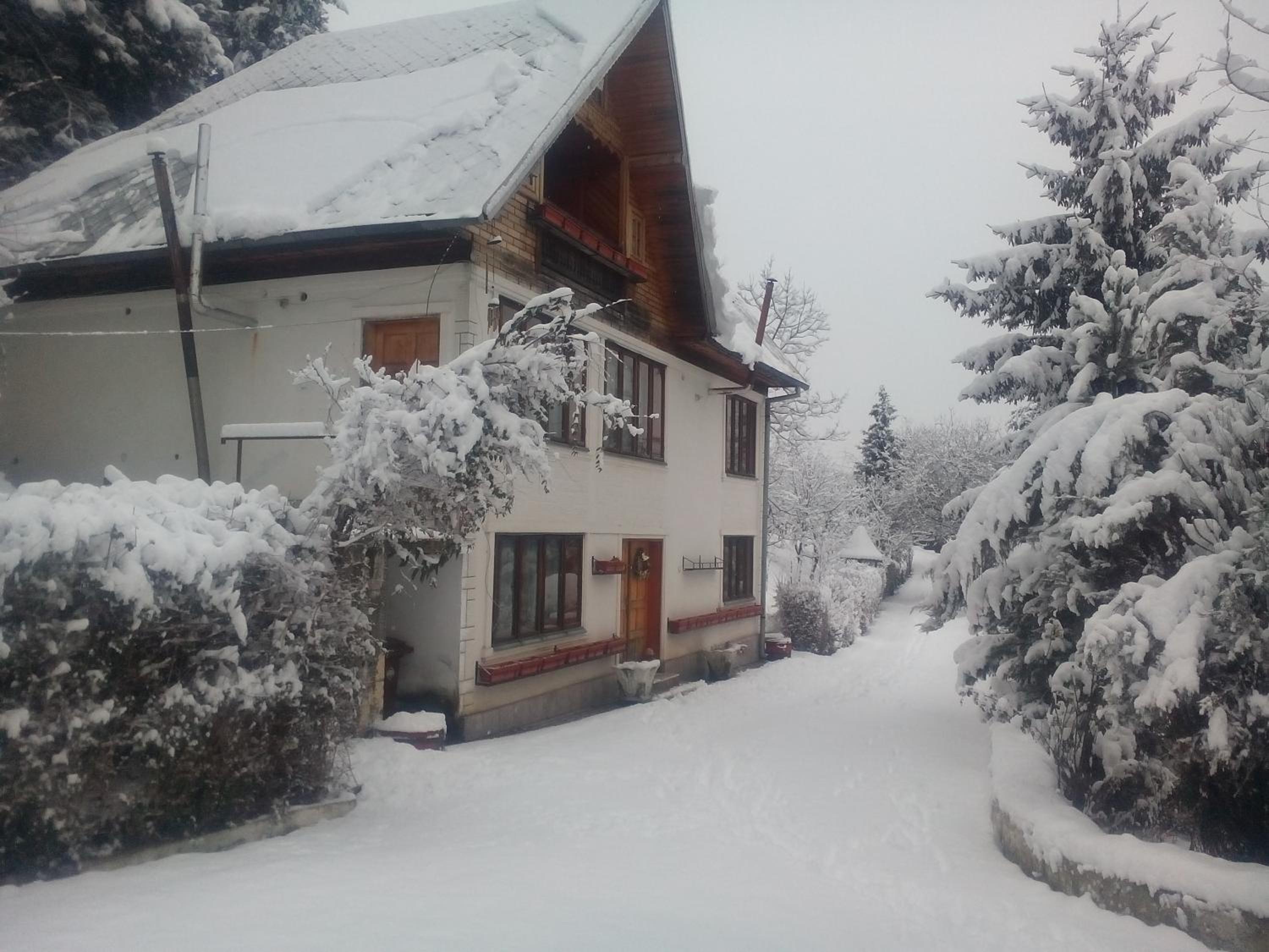 Pensiunea Paradis view 4