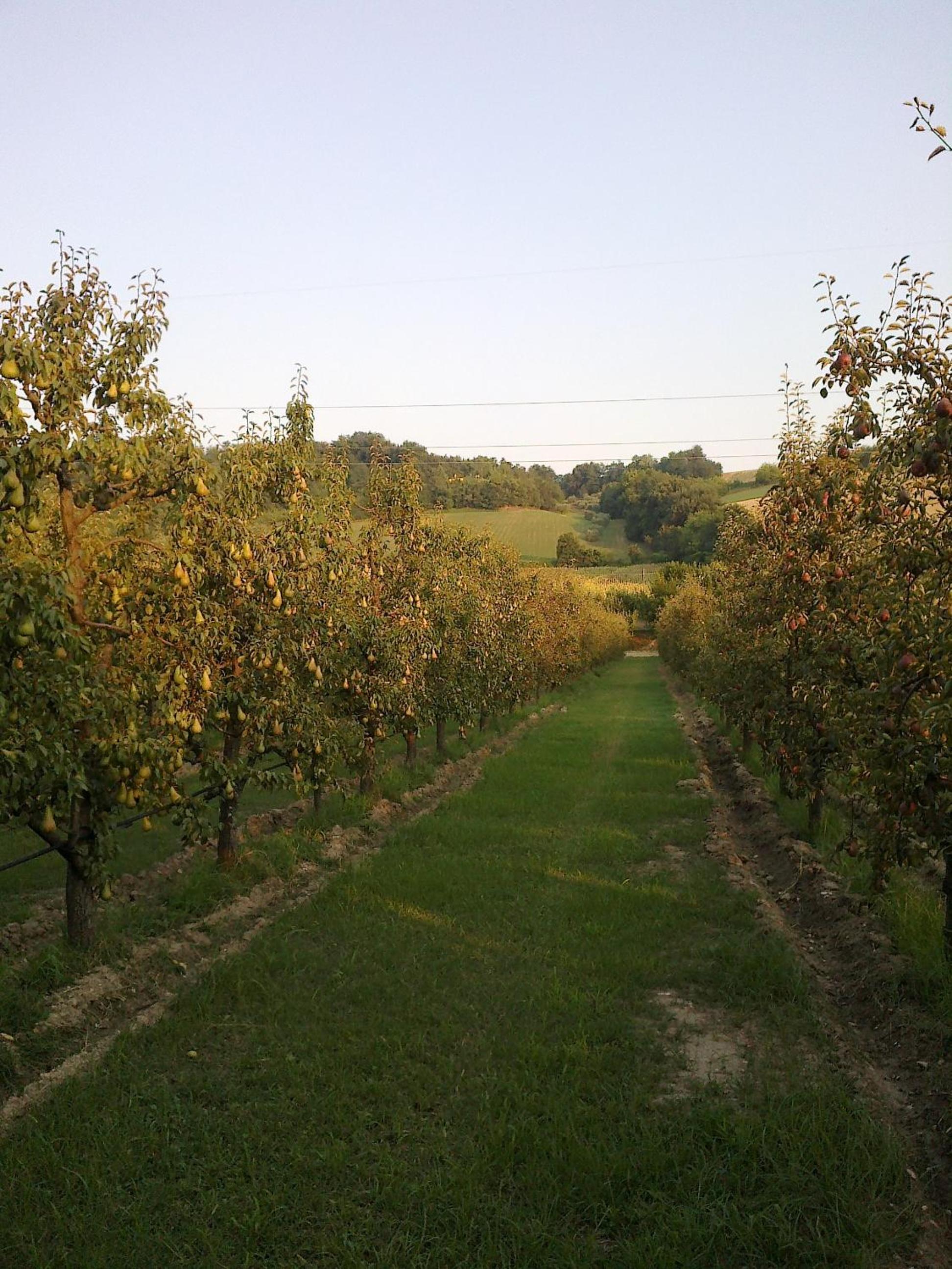 Agriturismo Fonte Carra