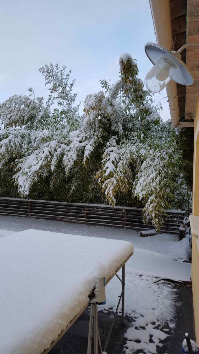 Les Bambous B&B view 3