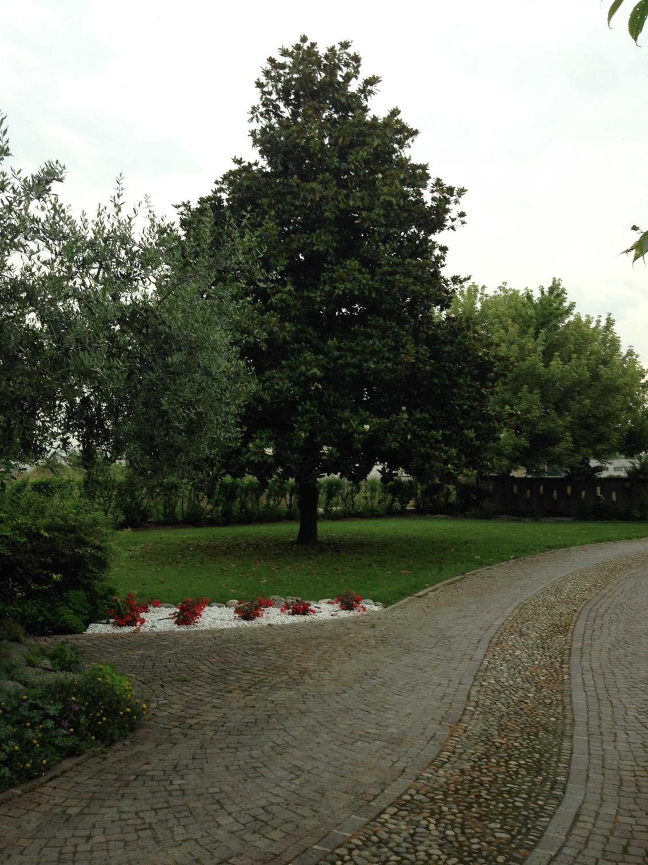 Photo 24