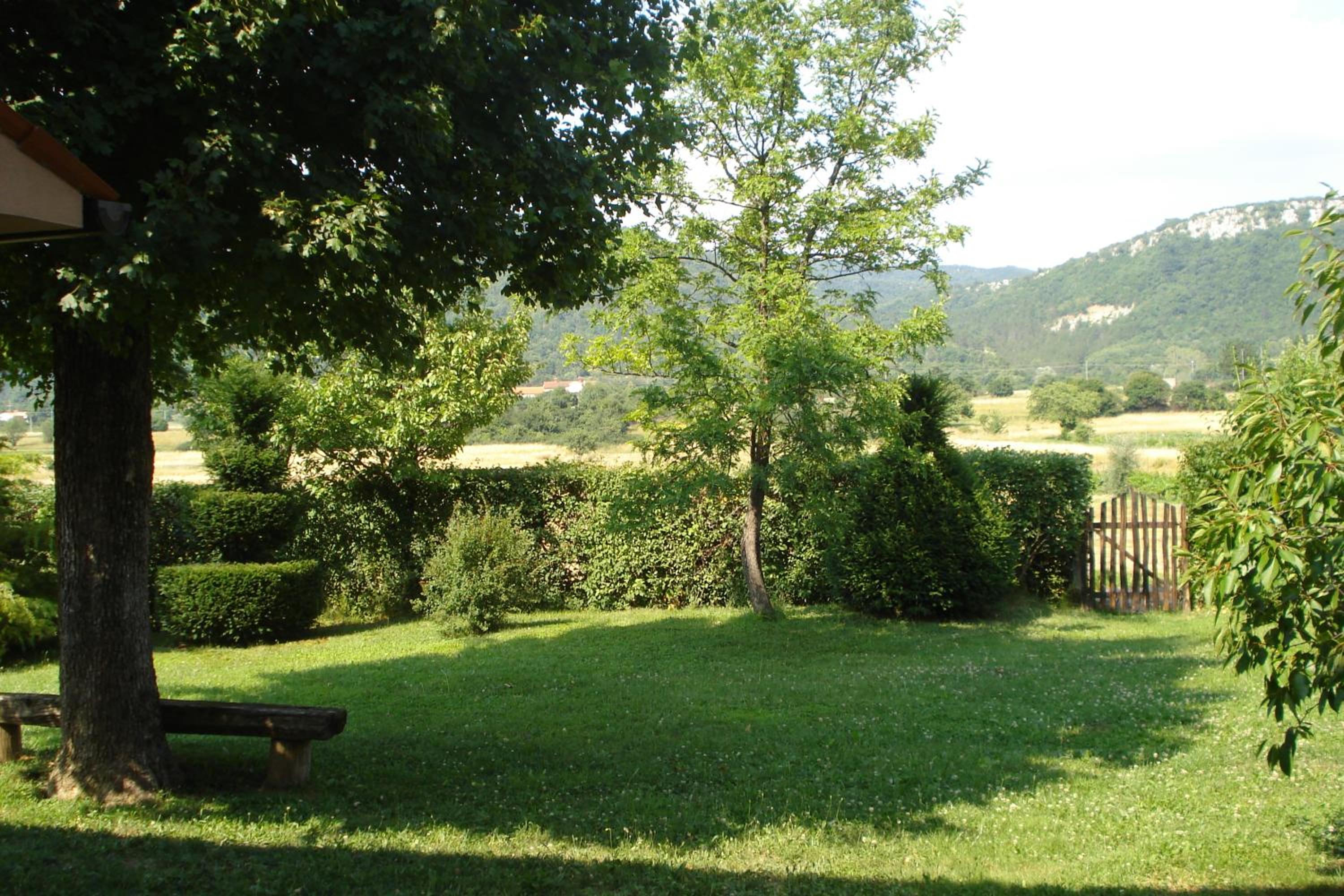 Photo 10