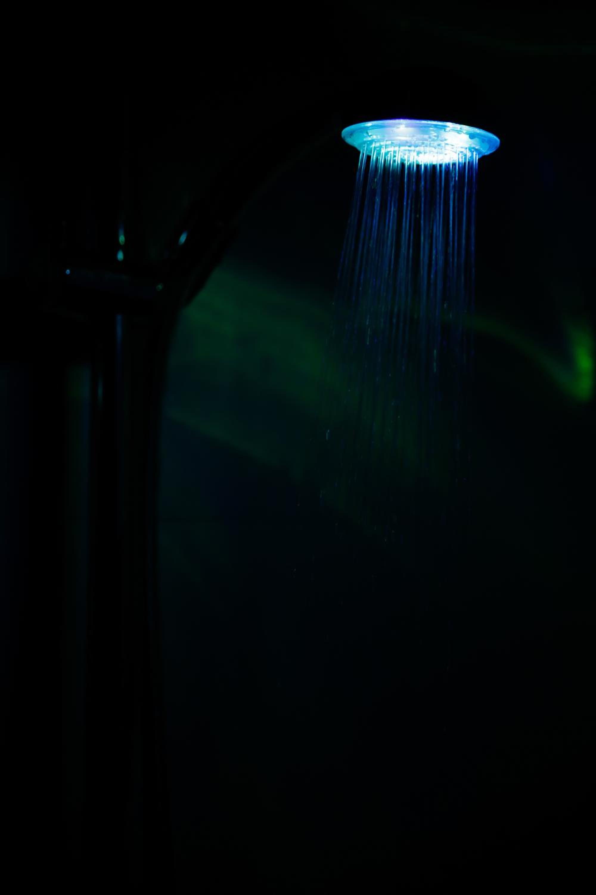 Photo 42