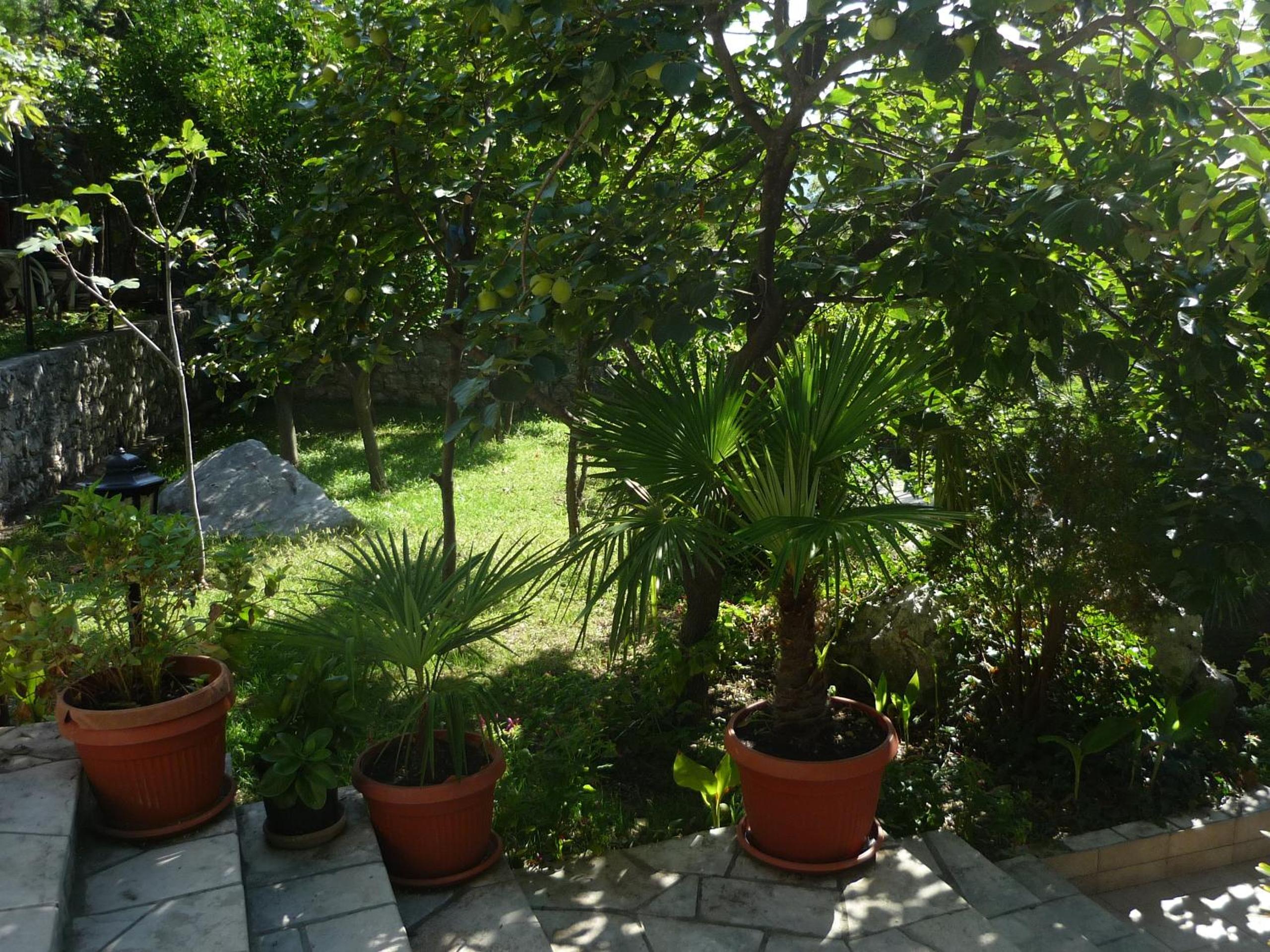 Photo 32