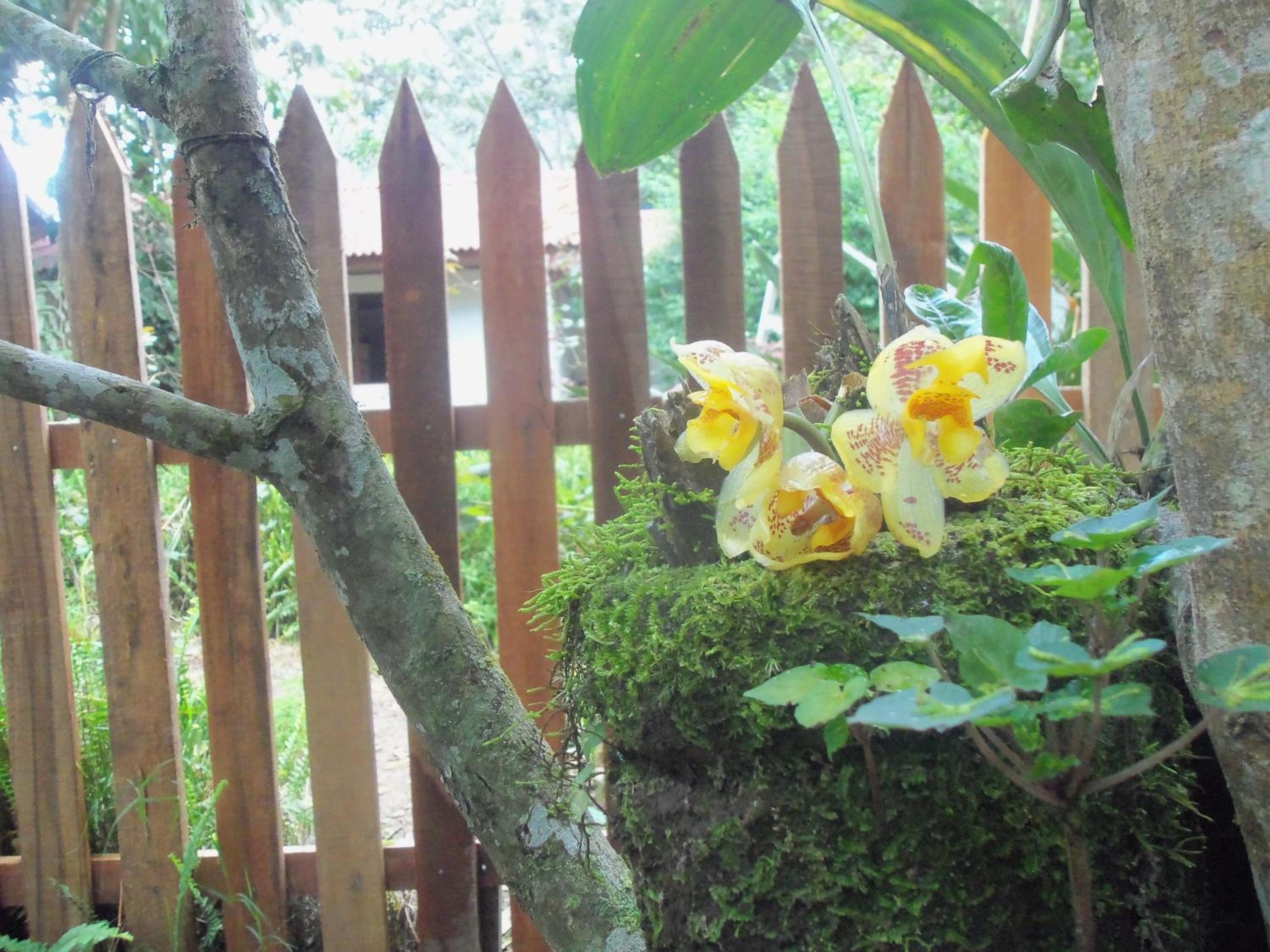 Refugio de Orquídeas