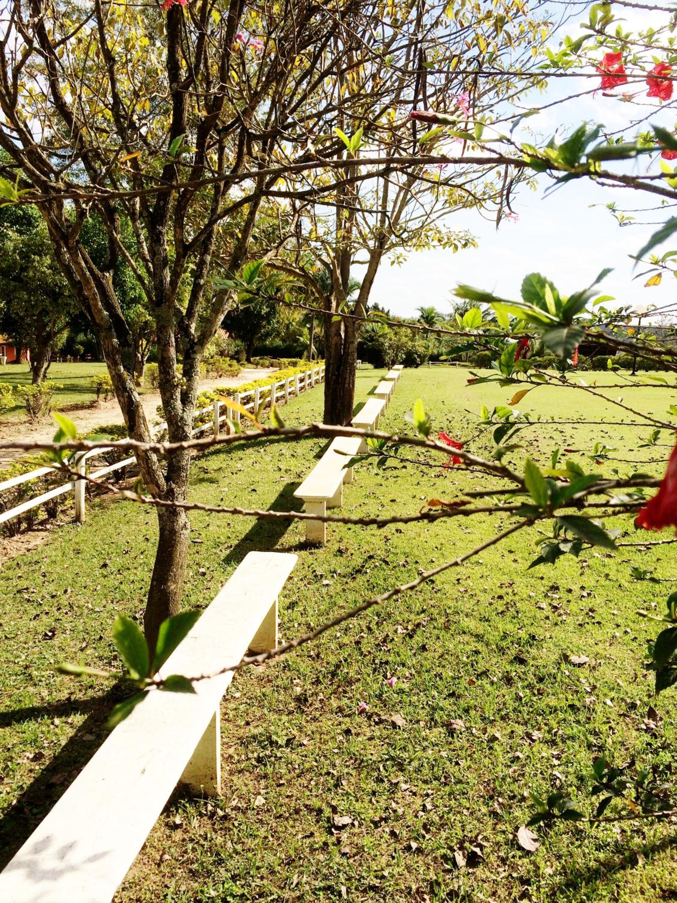 Casa de Campo Magnifica