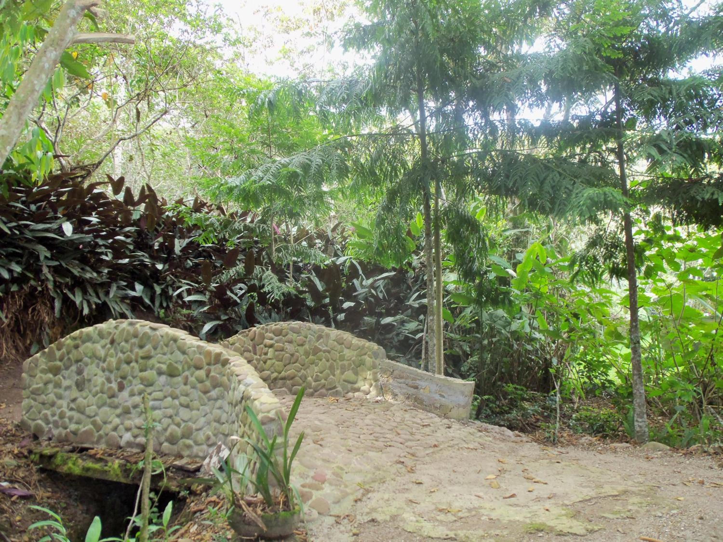 Refugio de Orquídeas