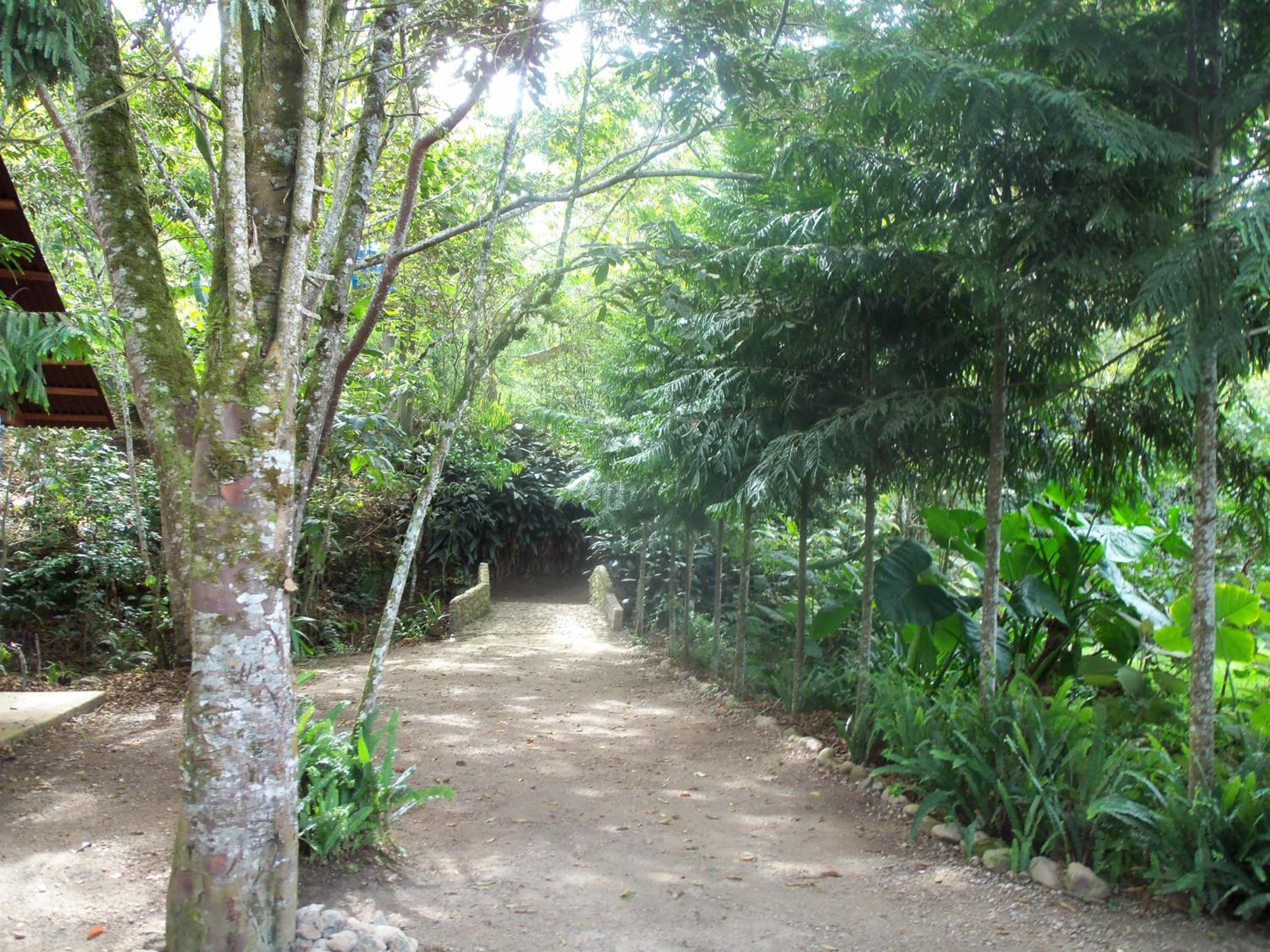 Refugio de Orquídeas
