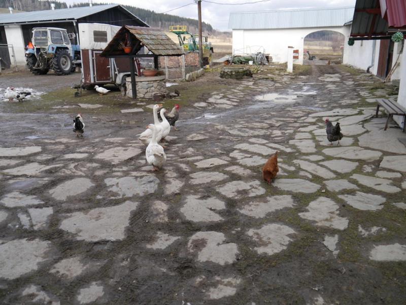 Photo 24