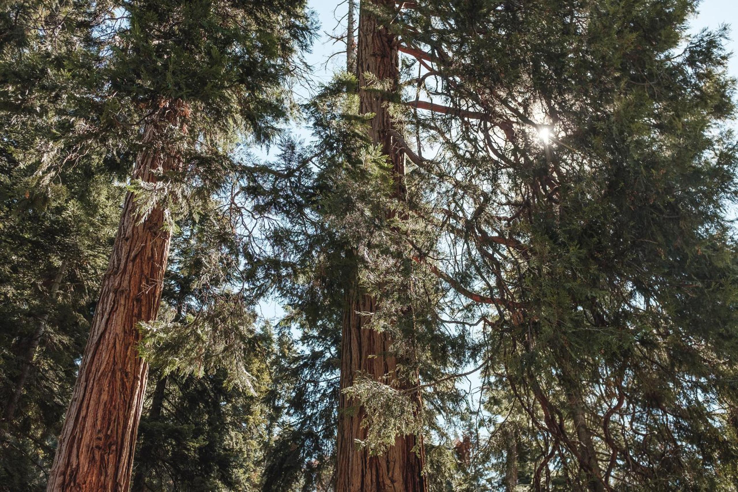 Silver City Mountain Resort