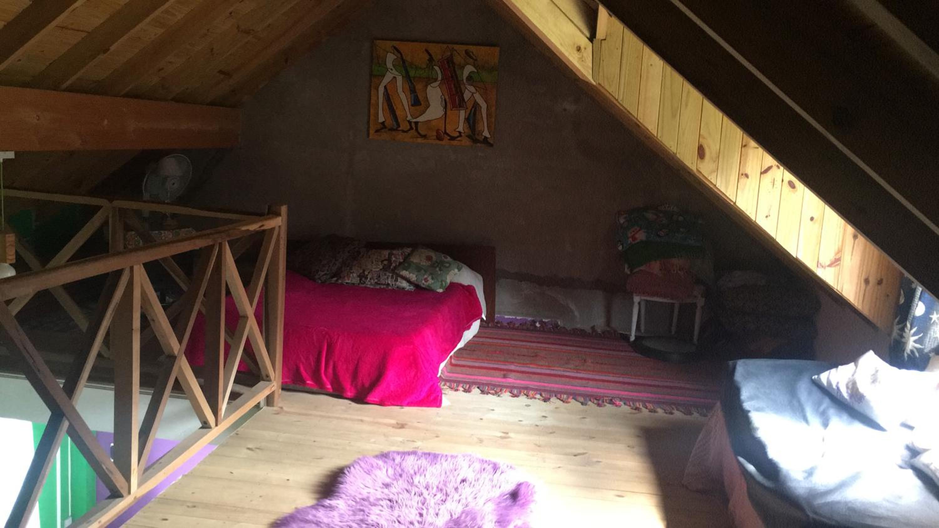 Vivi's House