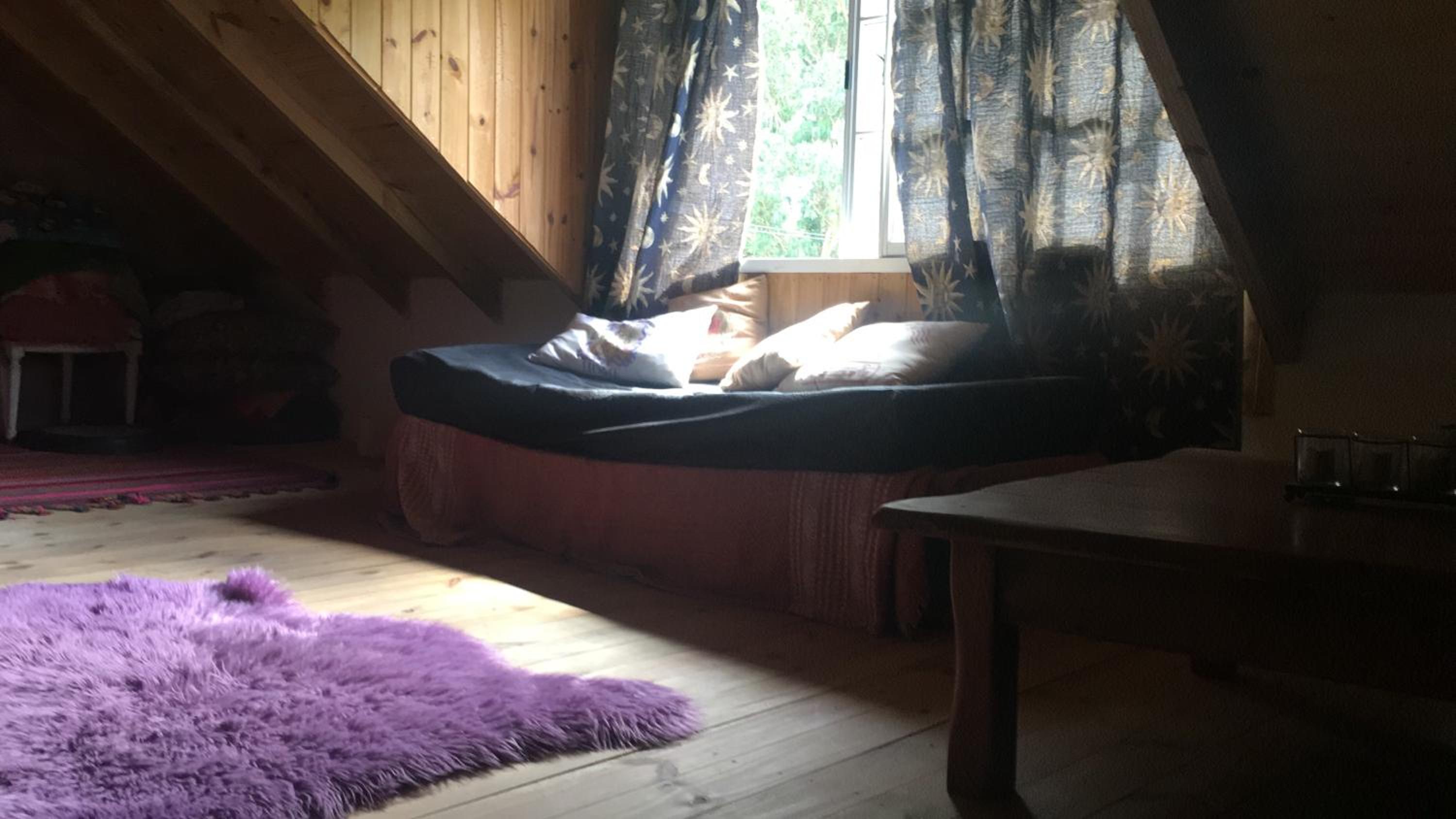 Vivi's House