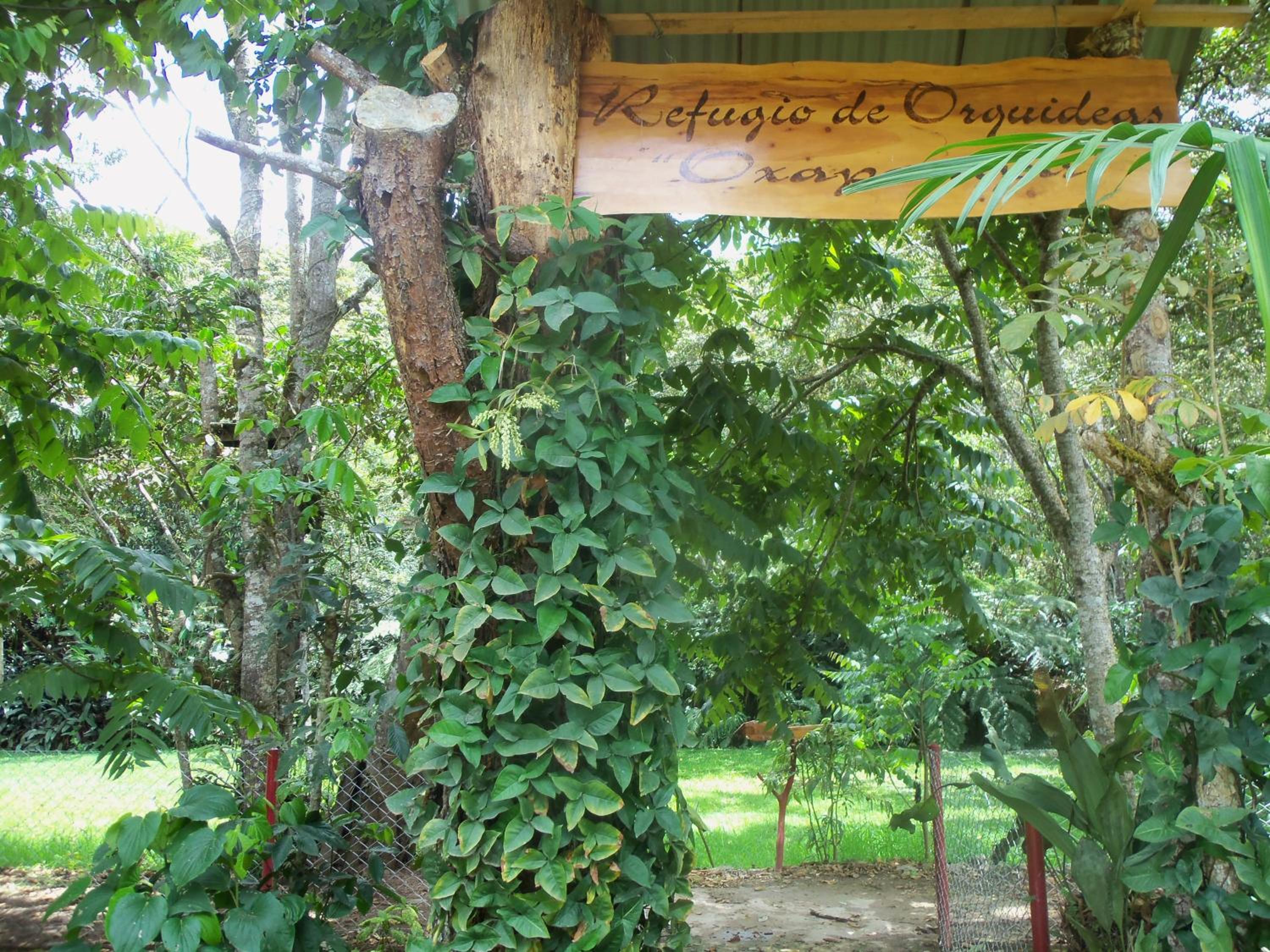 Refugio de Orquídeas