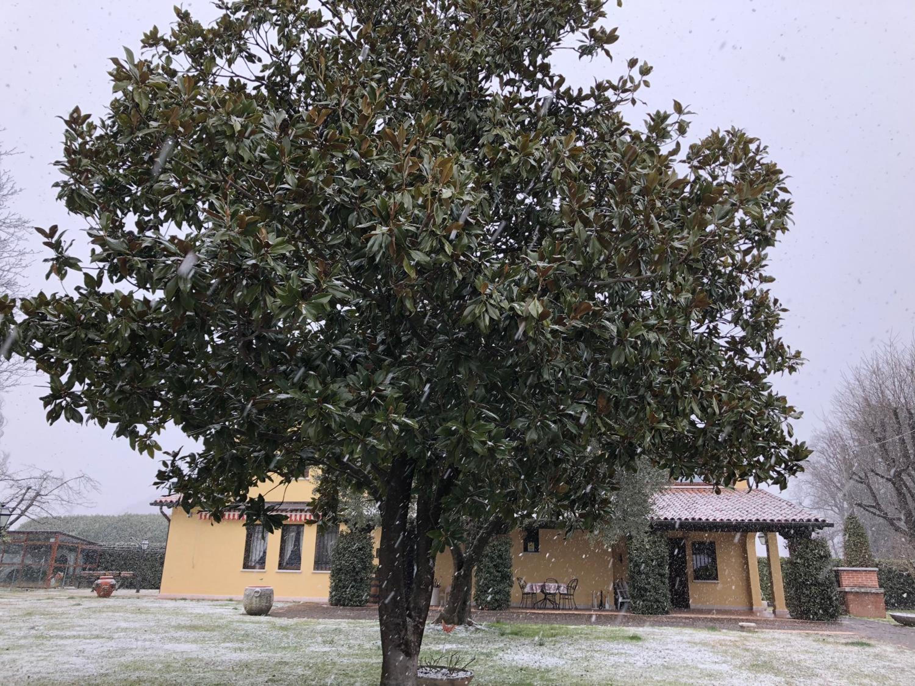 Le Tre Querce B&B, fotografía 5