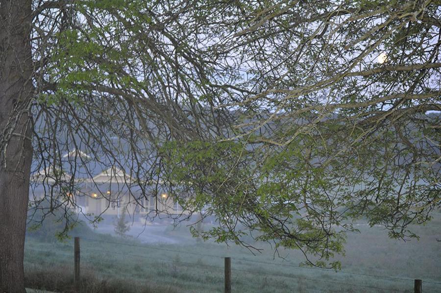 Tallawarra Homestead