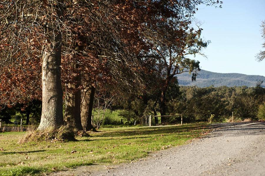 Tallawarra Homestead