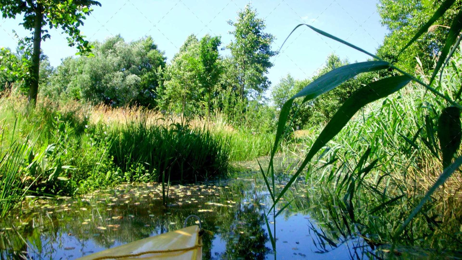 JANISCHs Fewo im Spreewald, Terrasse, großer Garten und Blick inklusive view 5