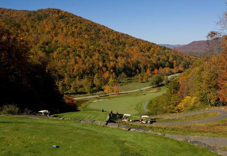Allegheny Springs