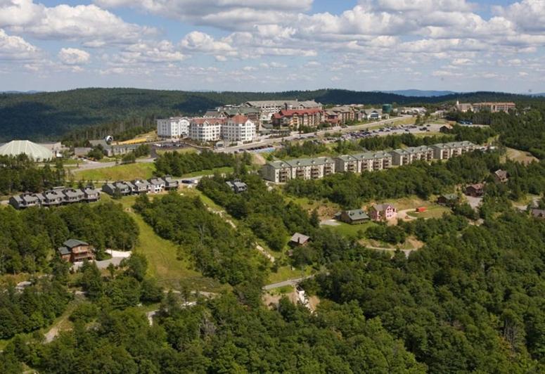 Allegheny Springs