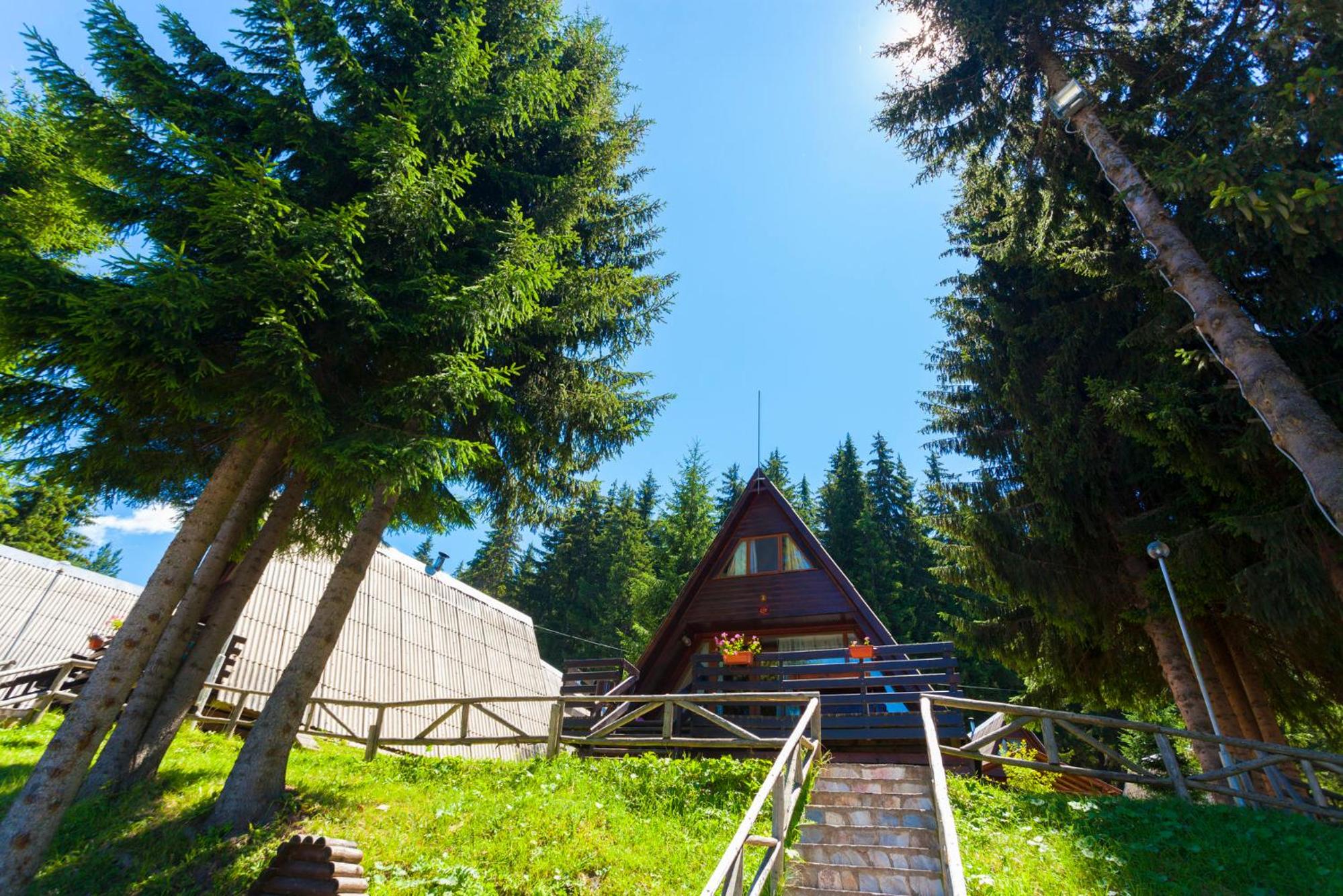 Romantica Forest Guest House