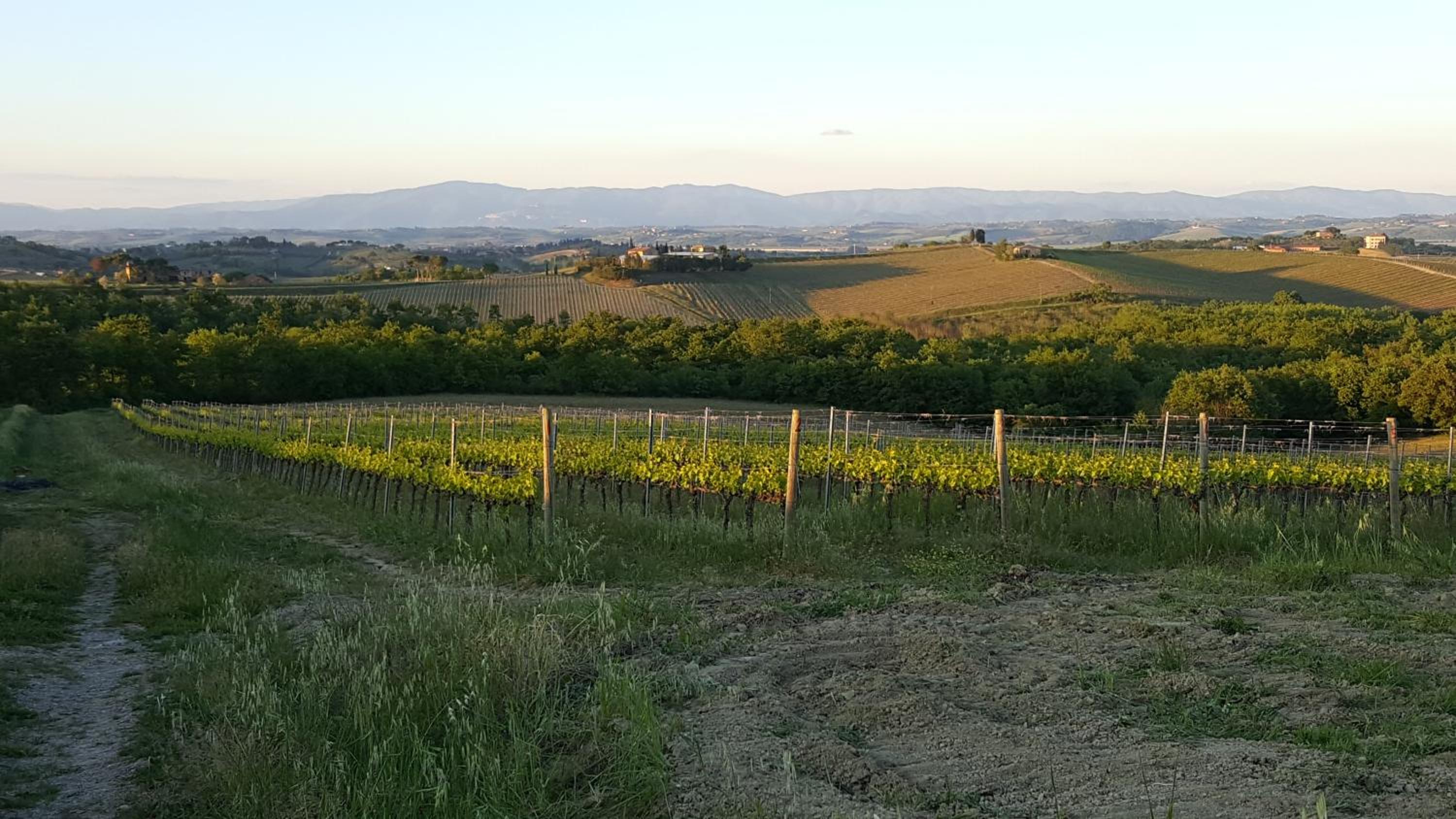 Agriturismo Podere Casa al Vento