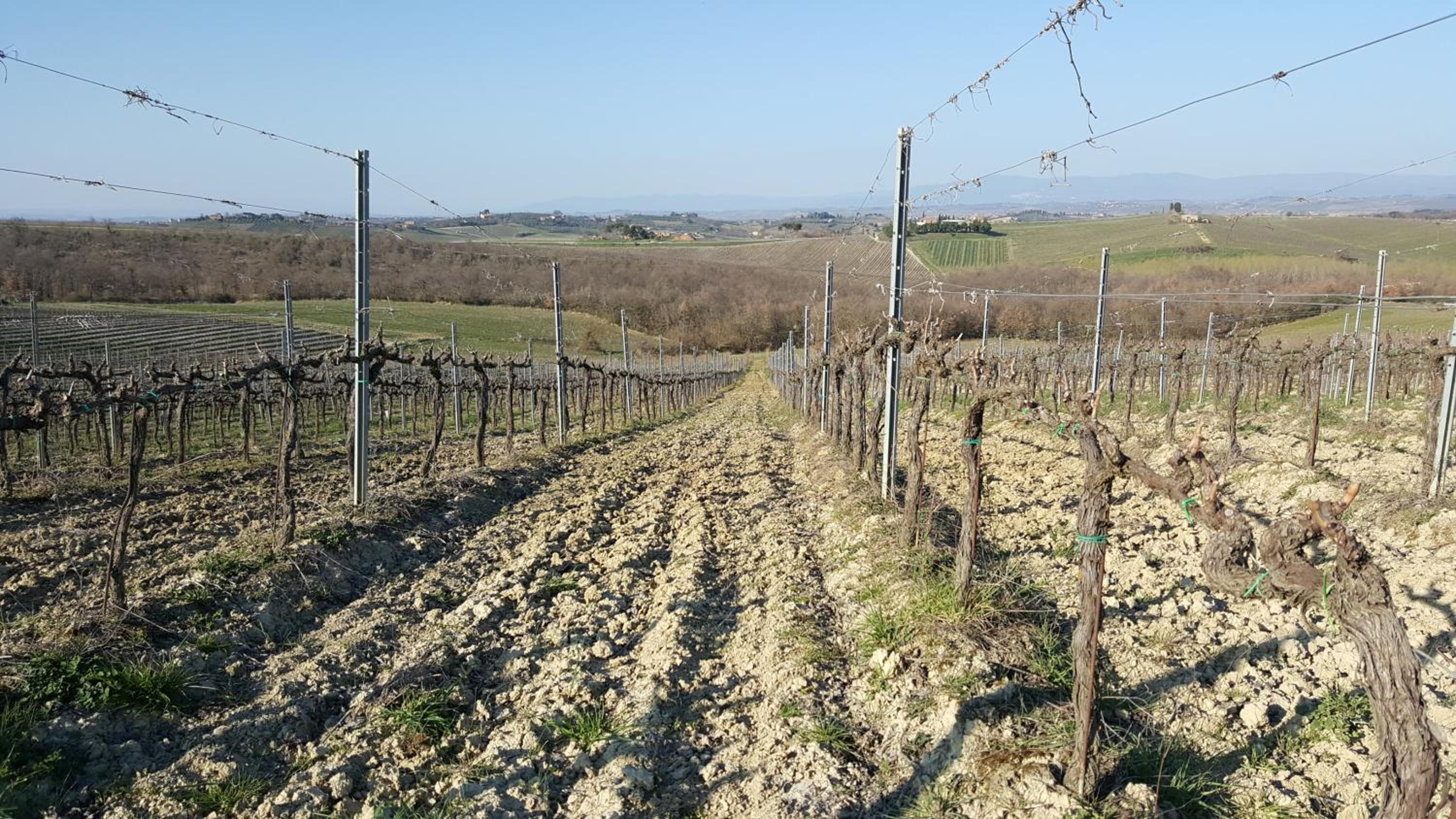 Agriturismo Podere Casa al Vento