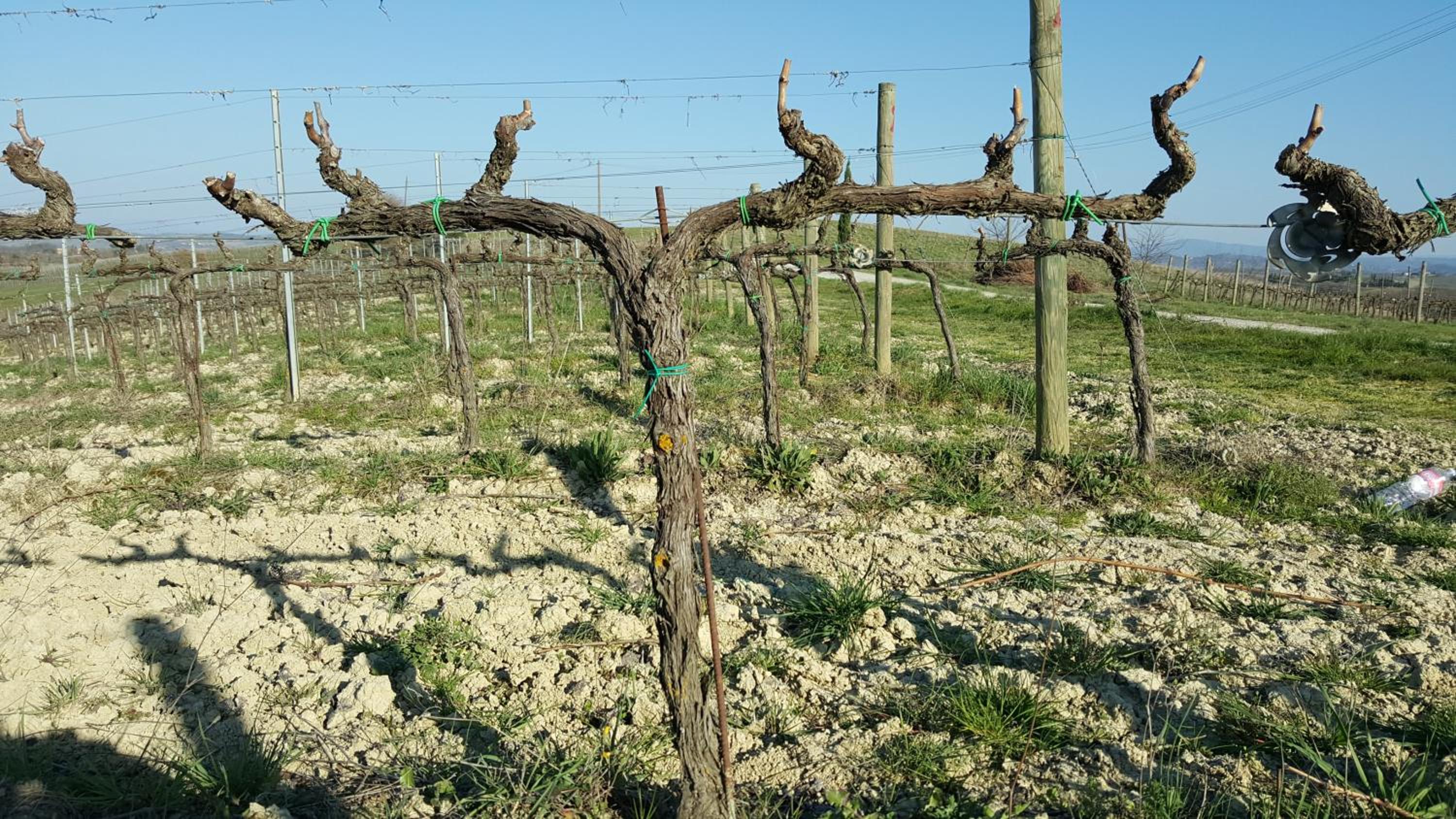 Agriturismo Podere Casa al Vento