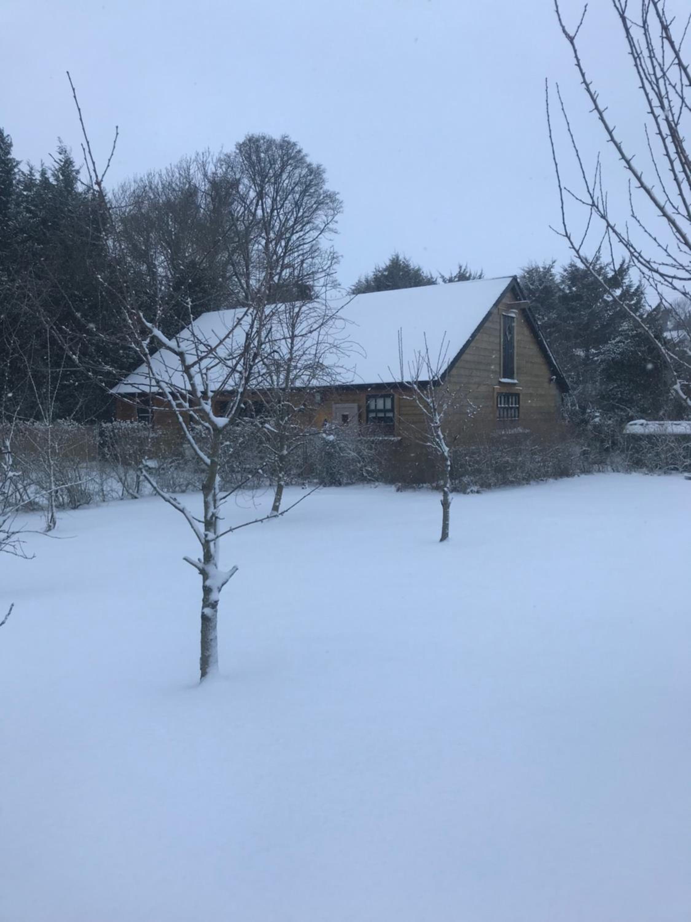Log cabin view 5