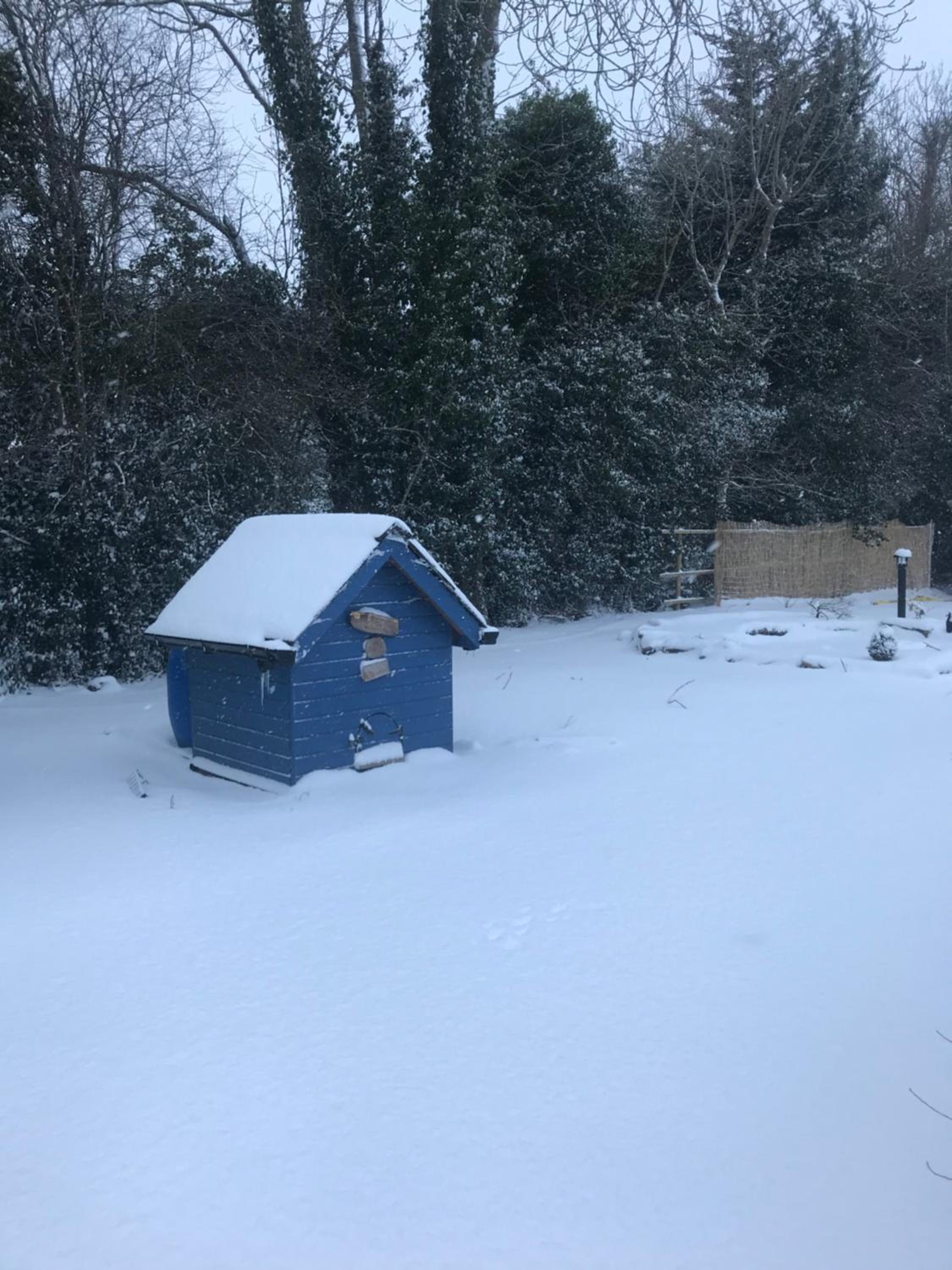 Log cabin view 4