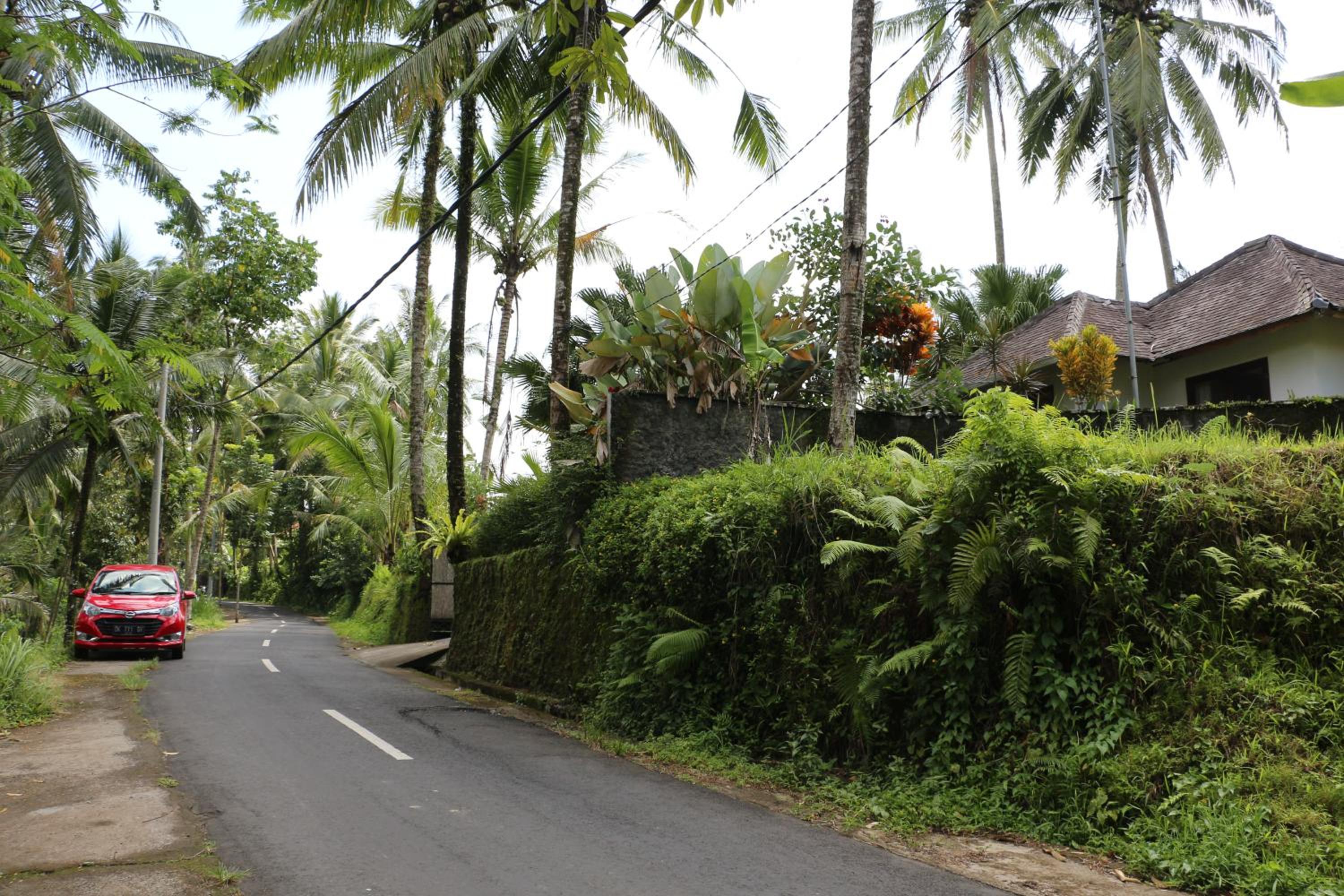 Photo 42