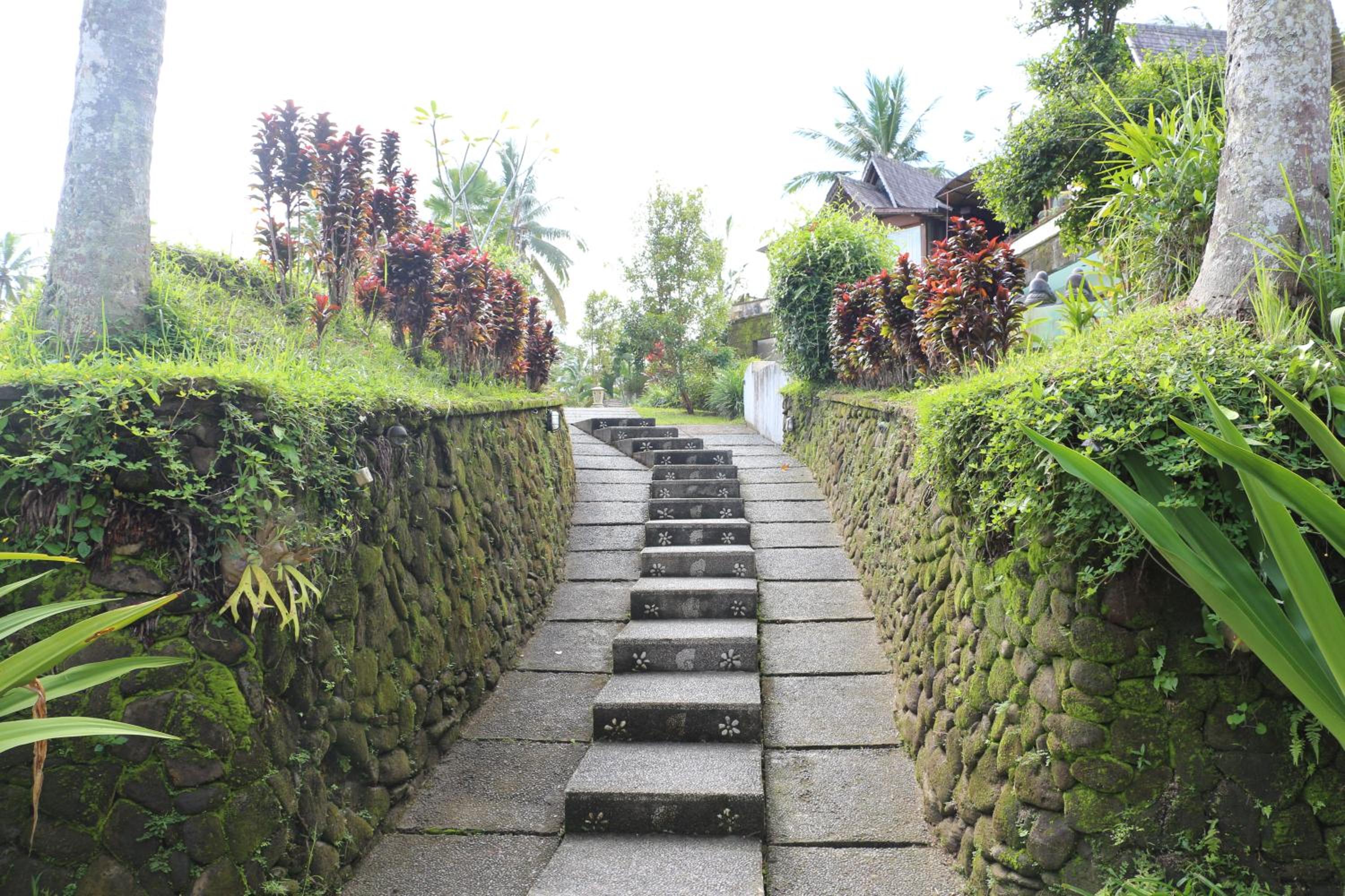 Photo 45