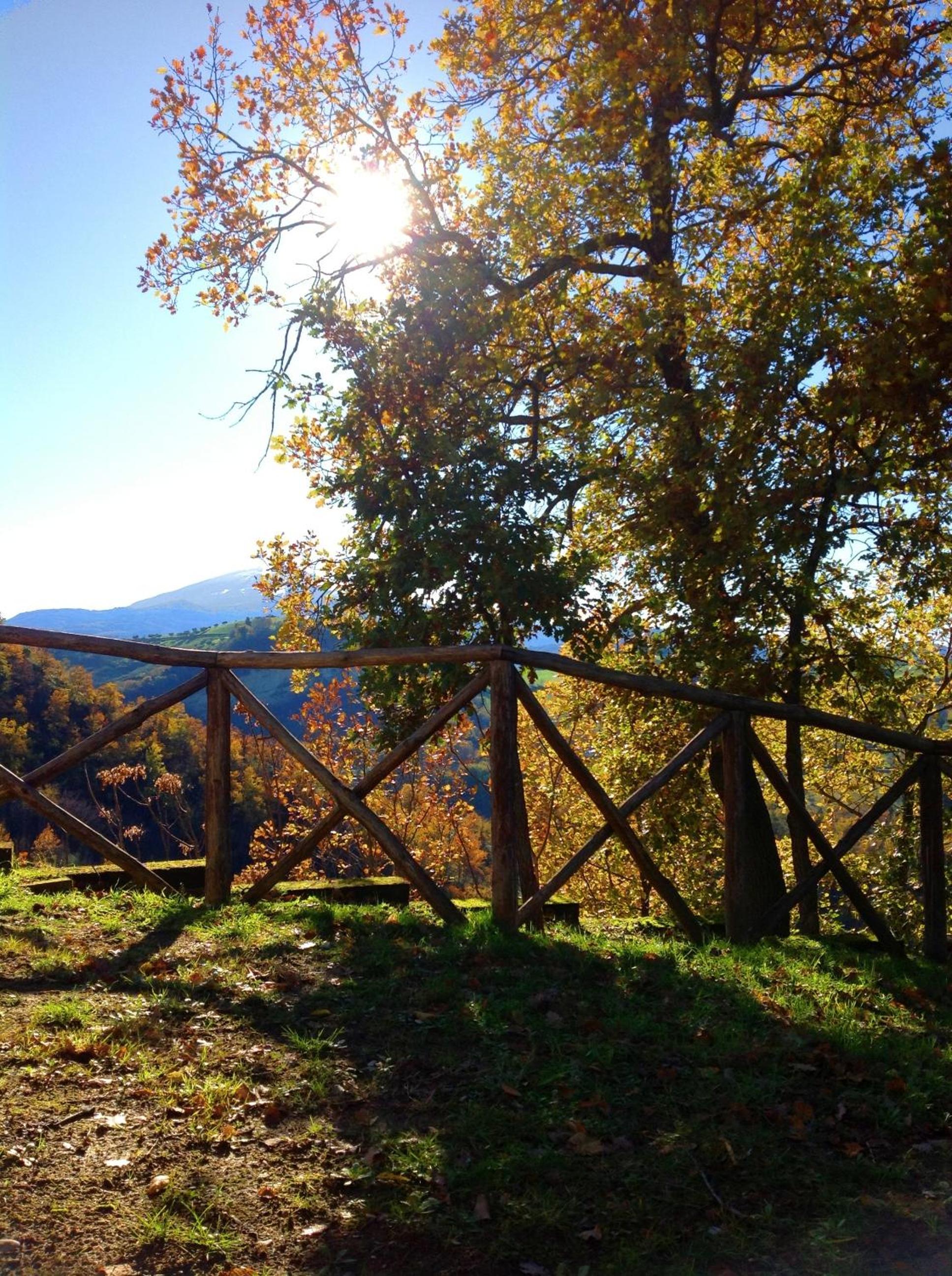 B&B Terra Di Mezzo