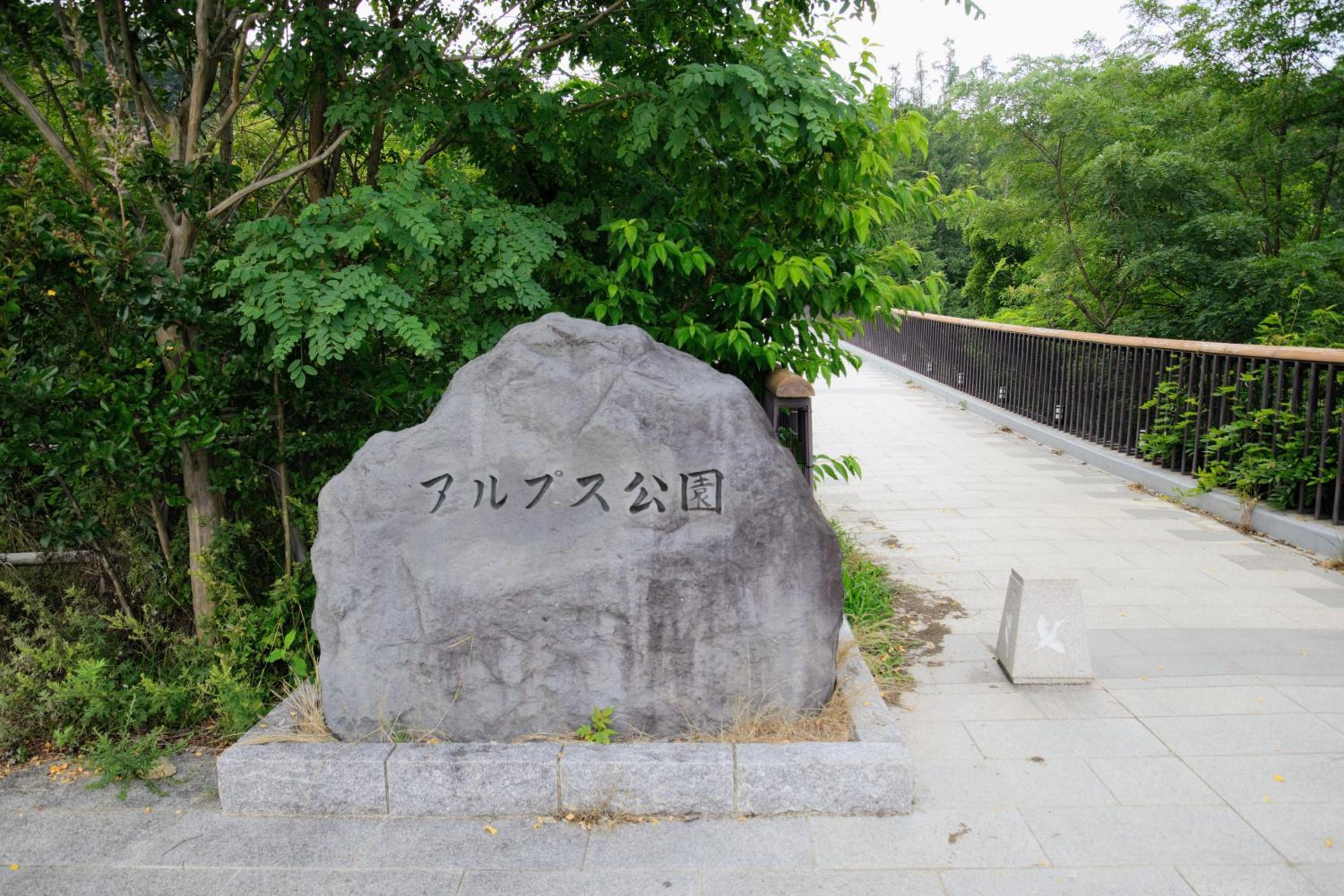 Photo 25