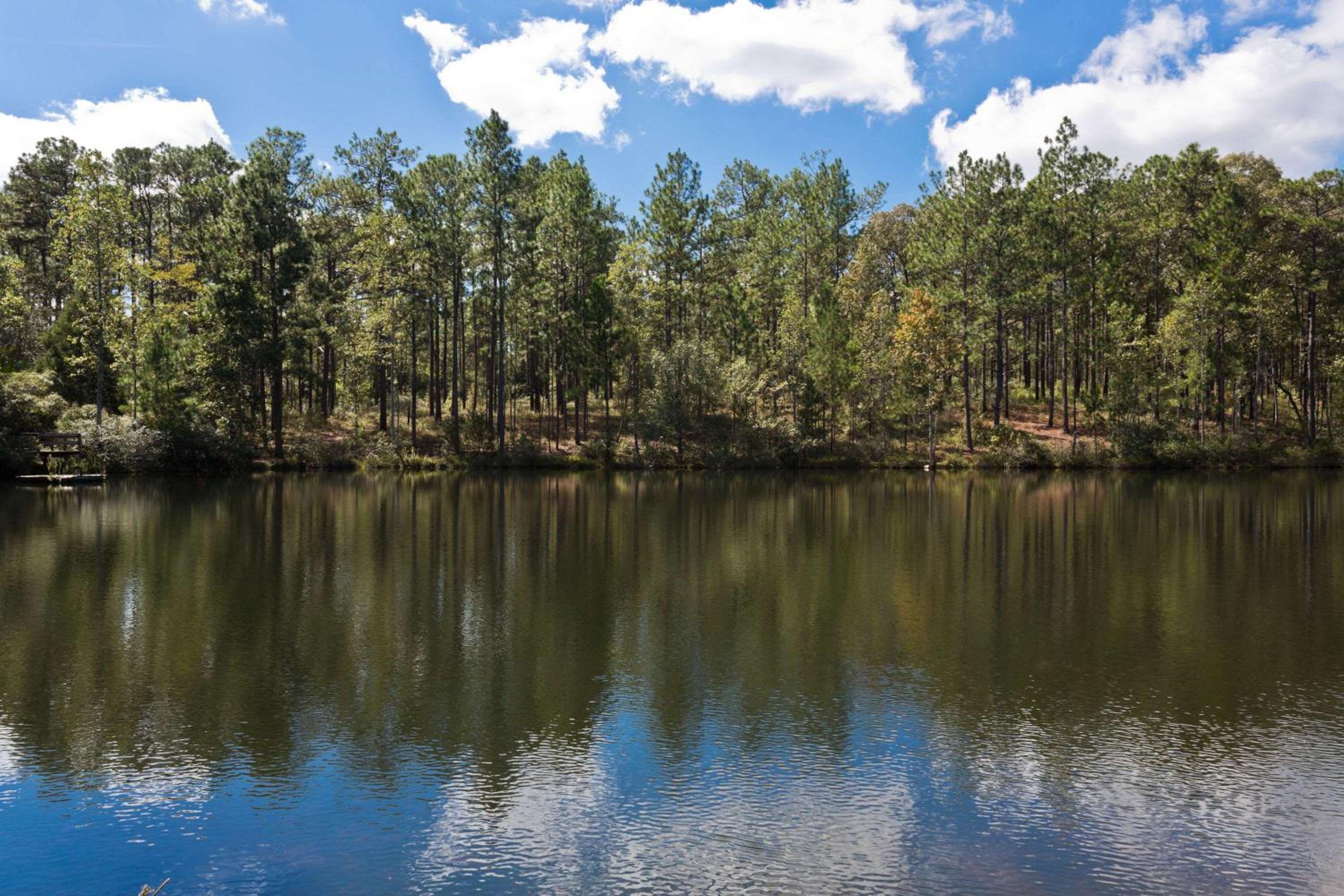 Super 8 by Wyndham Chipley - Property Image 2