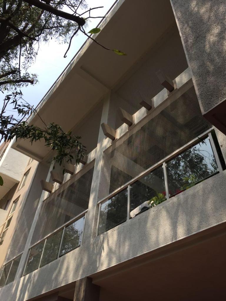 Bauhinia view 3