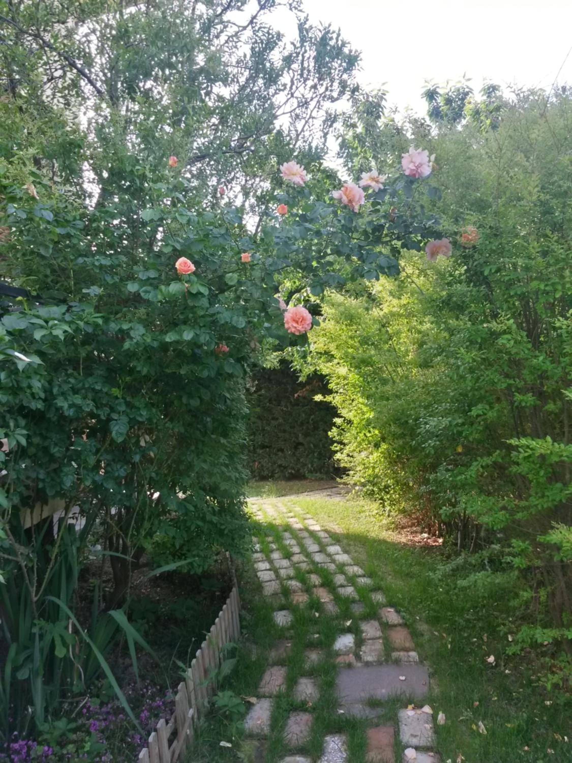 CasaVittorio